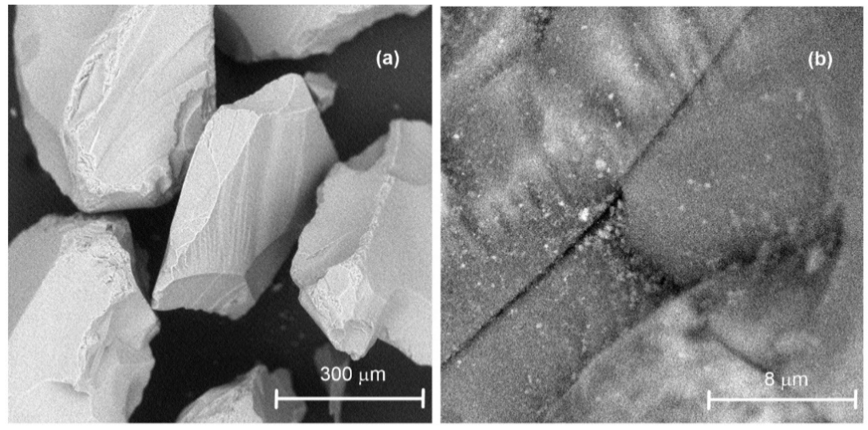 Processes 10 00422 g005
