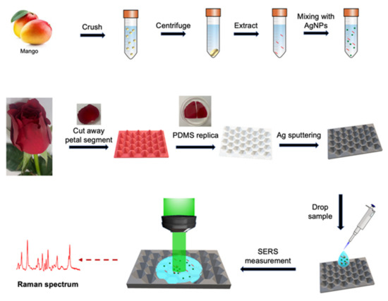 Processes 10 00442 g001 550