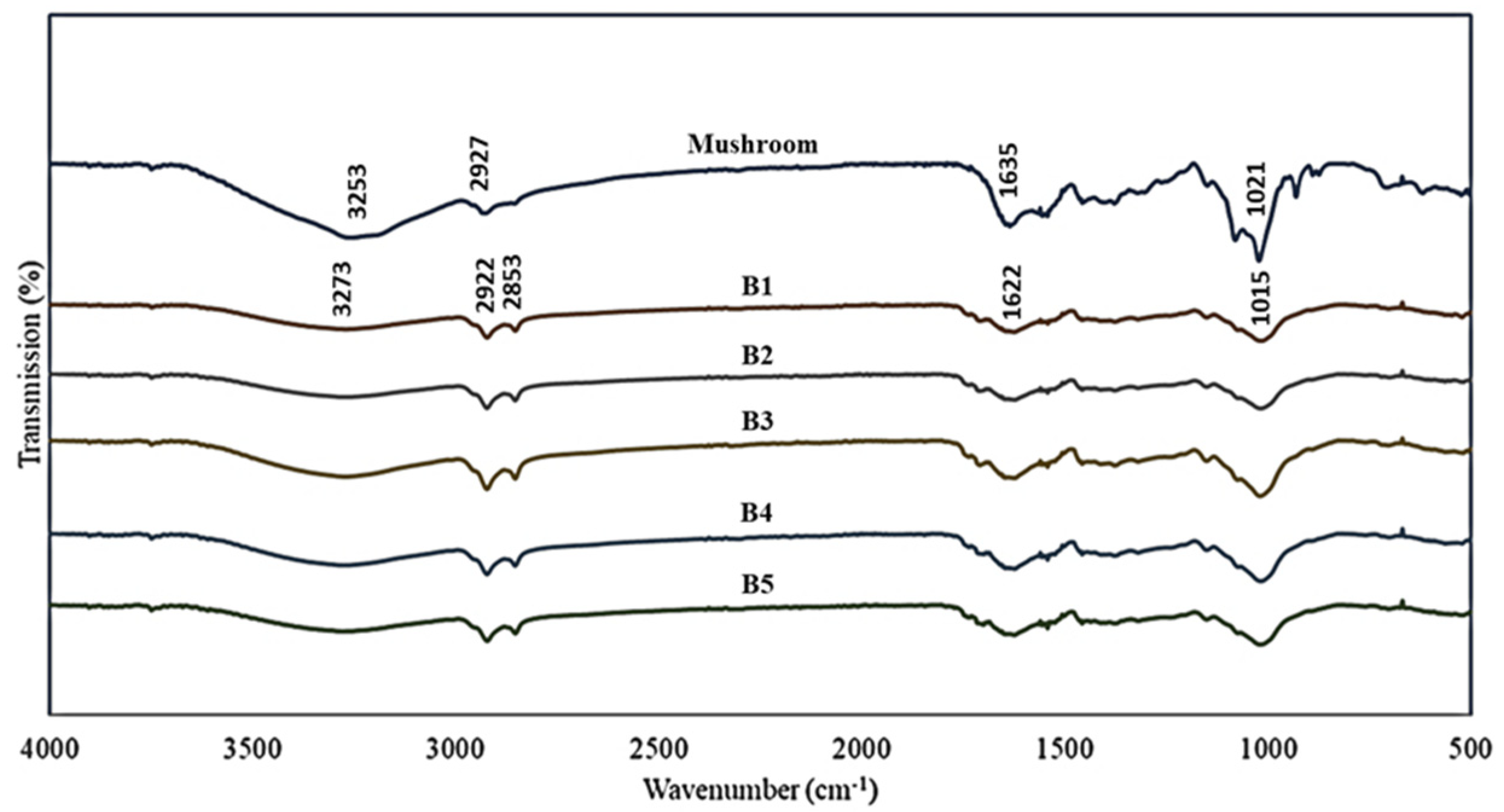 Processes 10 00463 g001
