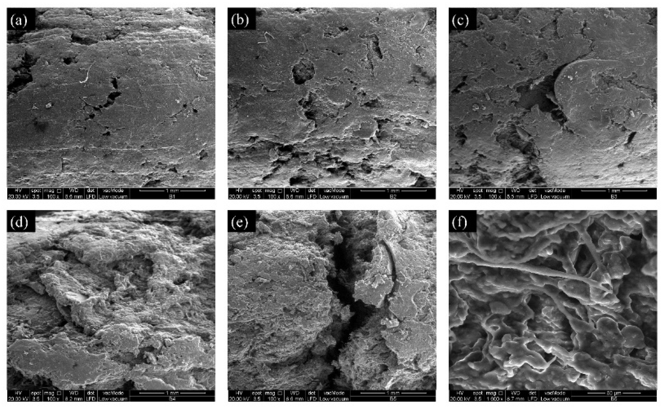 Processes 10 00463 g003