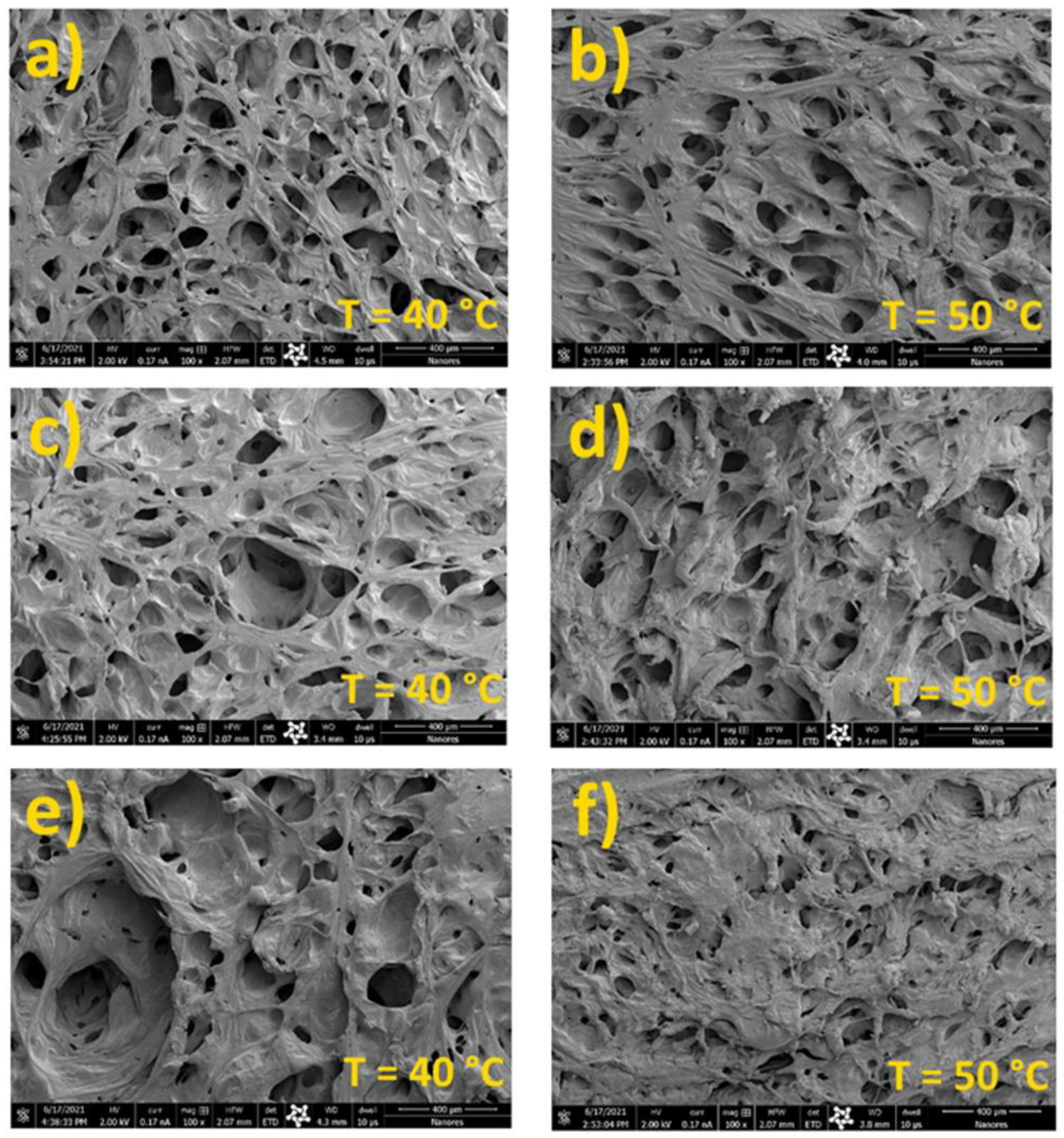 Processes 10 00482 g007