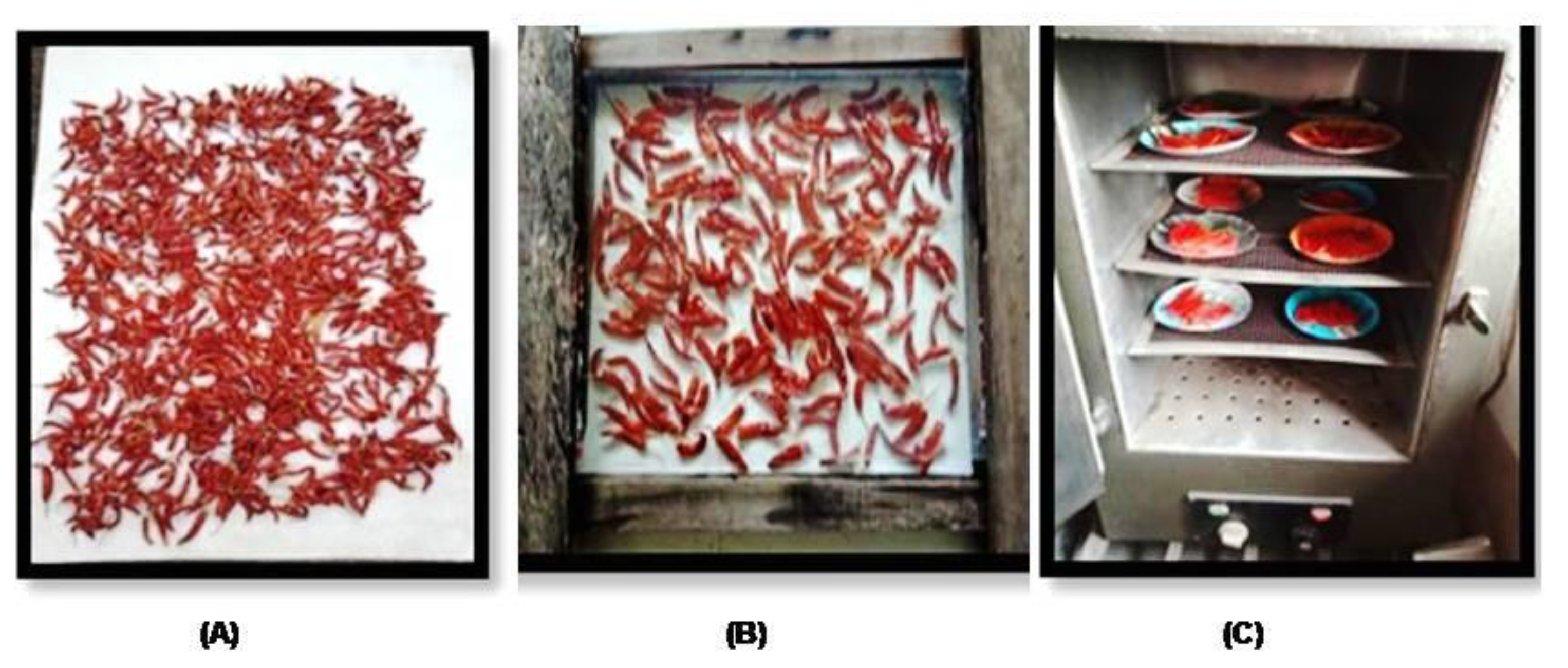 Processes 10 00484 g001