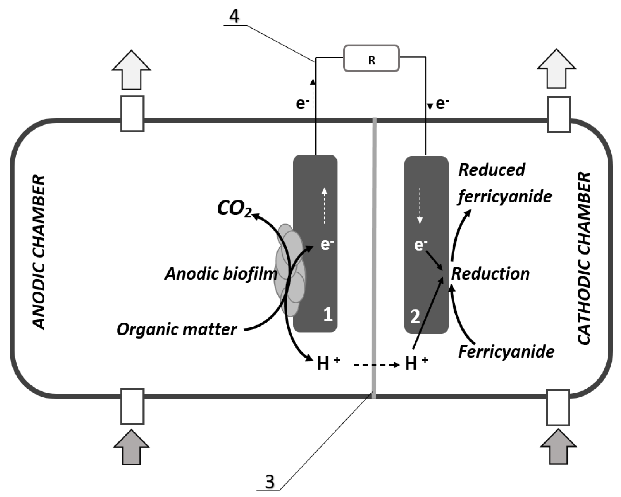 Processes 10 00486 g001