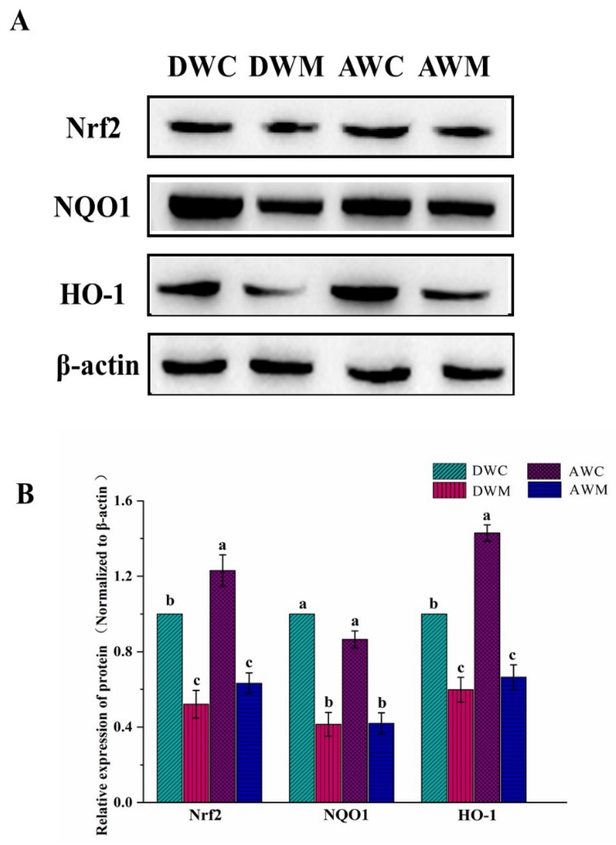 Processes 10 00498 g004