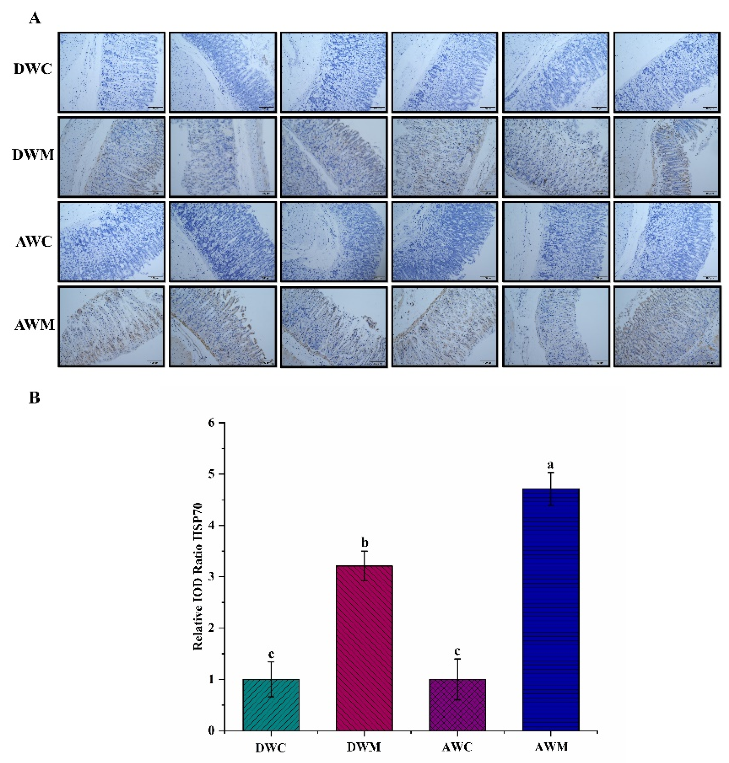 Processes 10 00498 g005