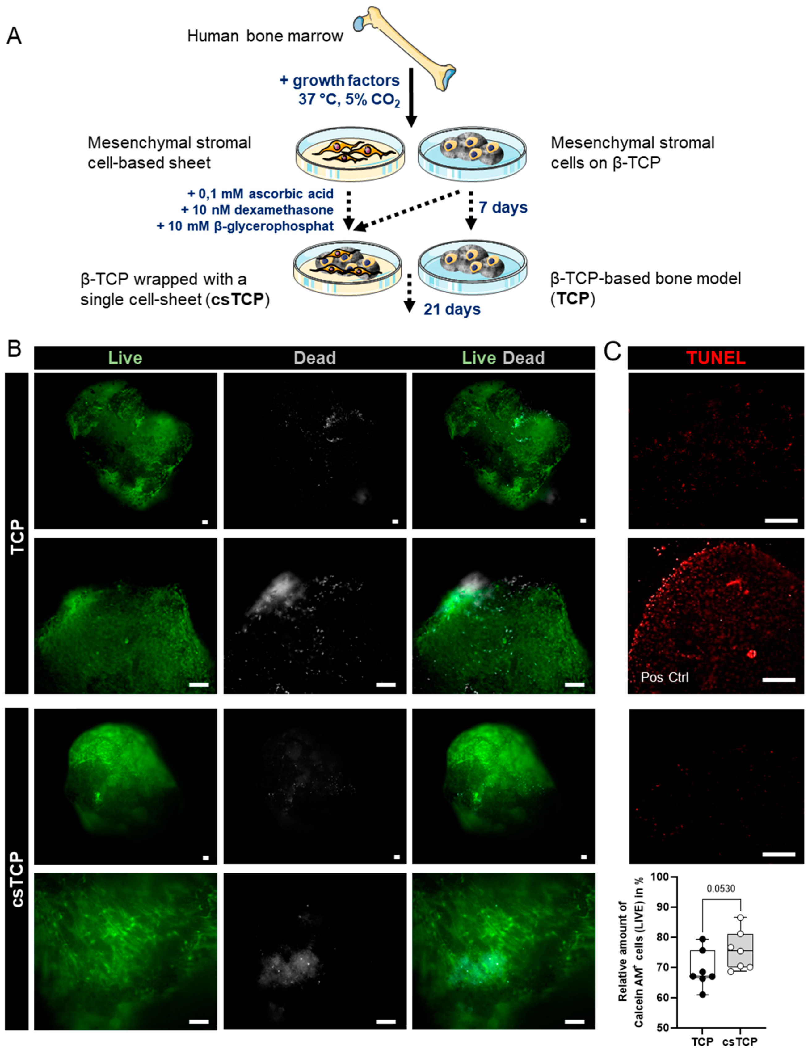 Processes 10 00550 g001