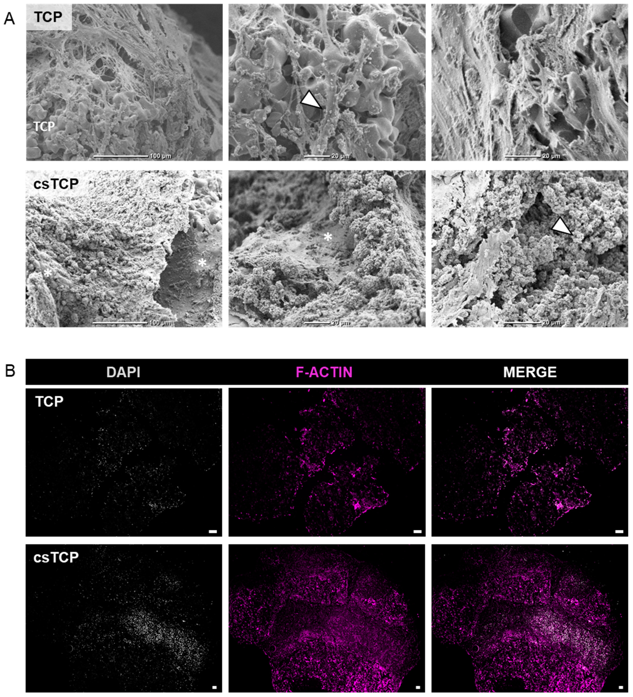Processes 10 00550 g002