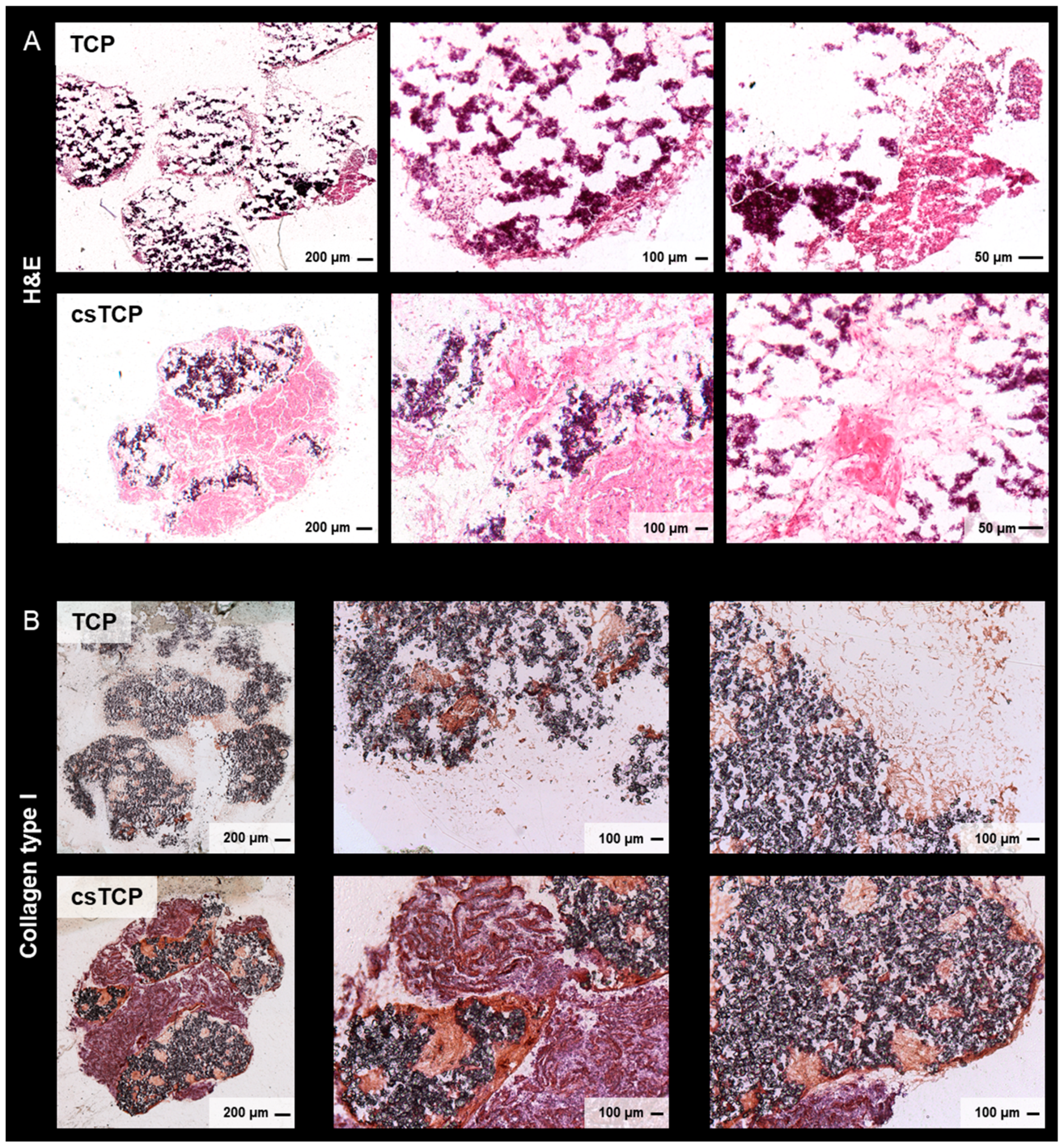 Processes 10 00550 g003