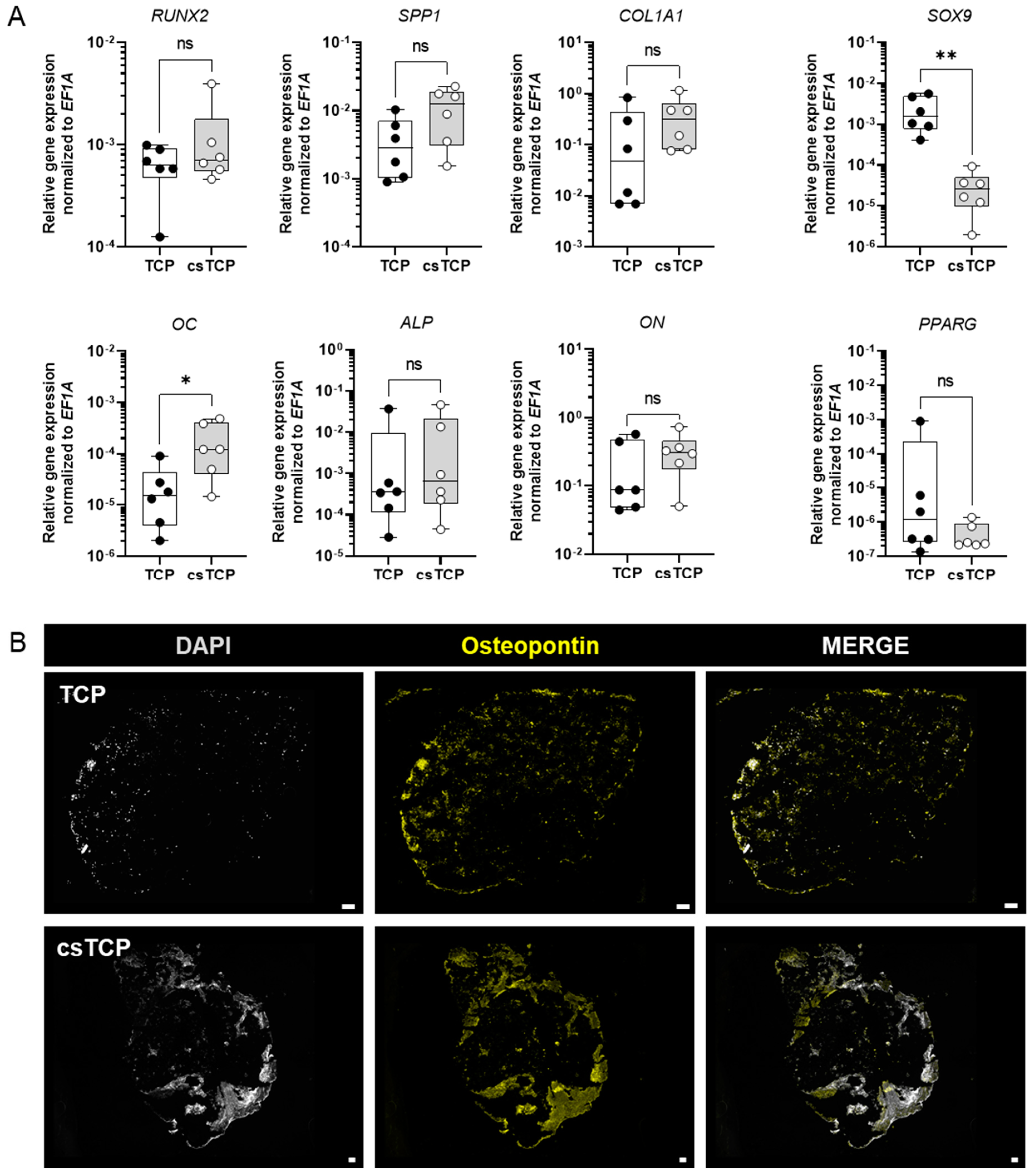 Processes 10 00550 g004