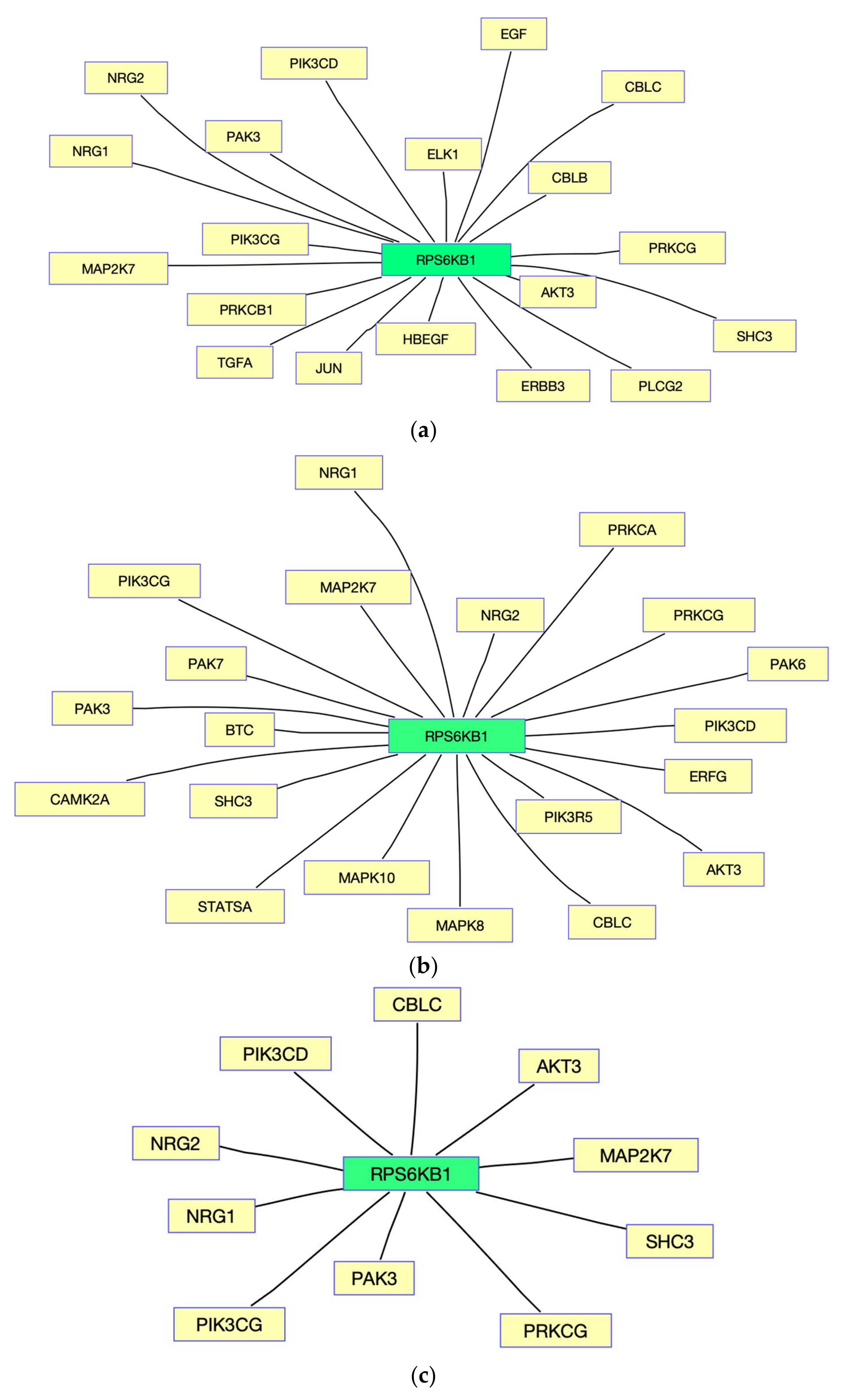 Processes 10 00552 g002