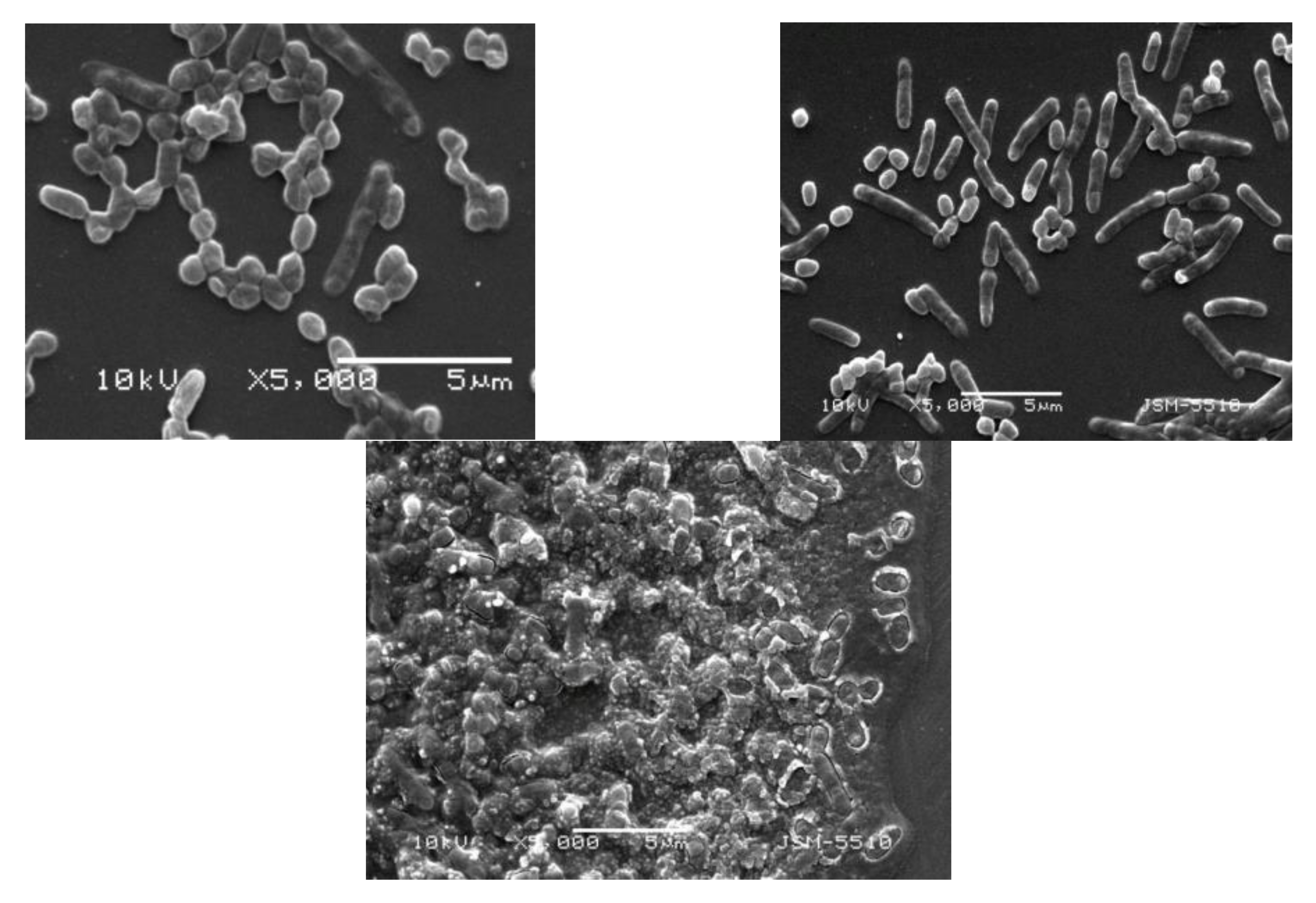 Processes 10 00554 g004