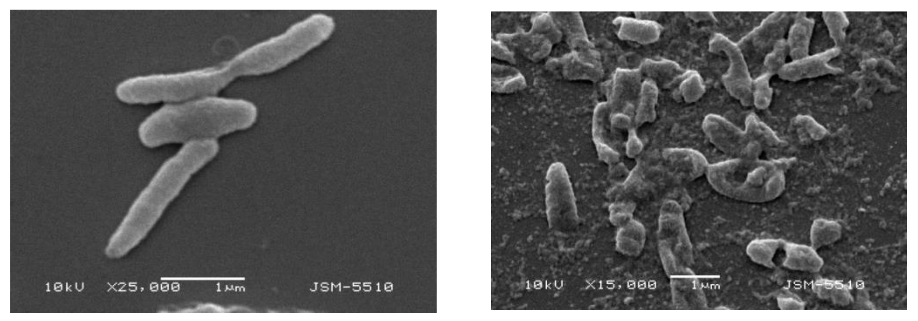 Processes 10 00554 g005