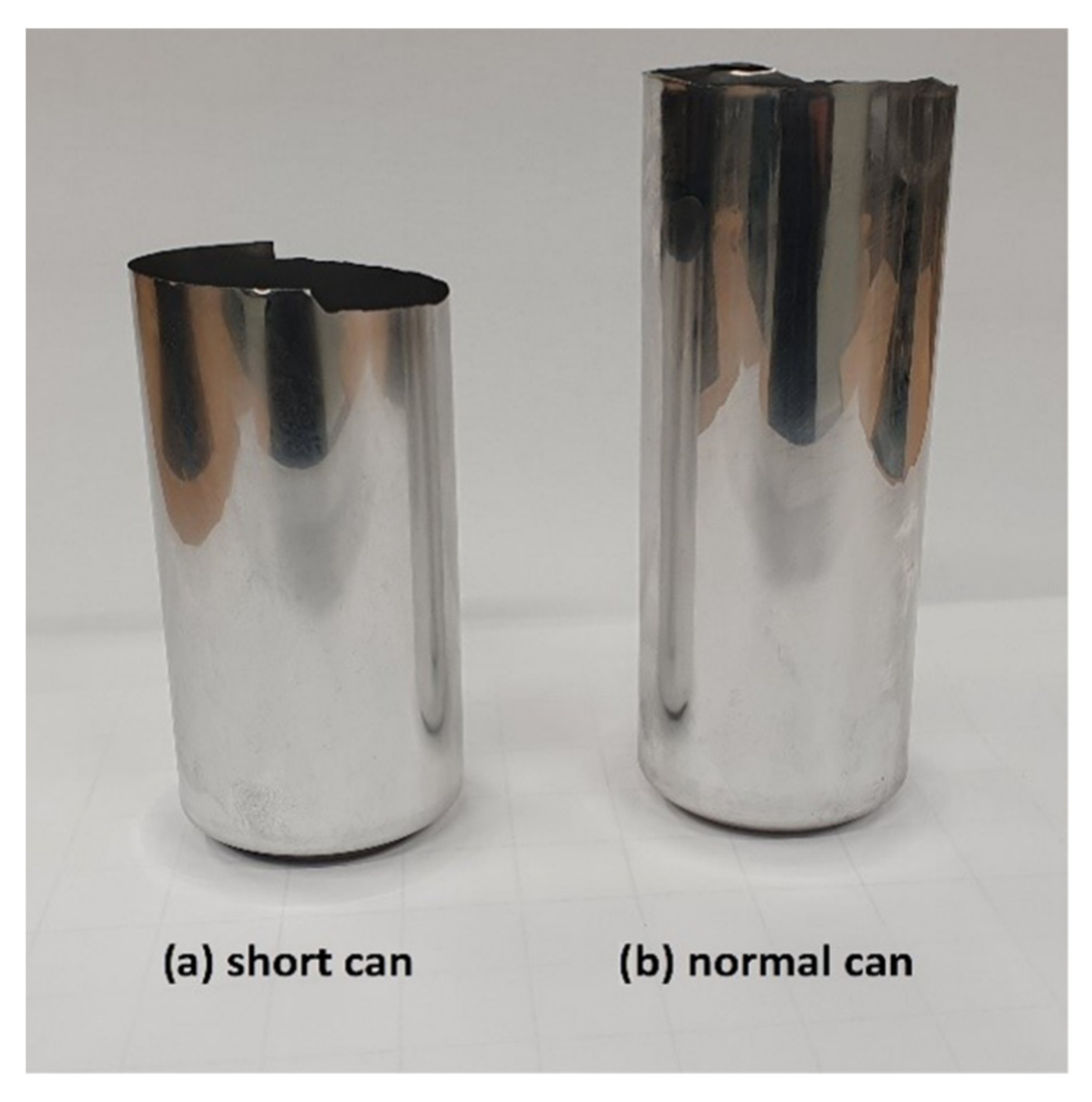 Processes 10 00578 g001