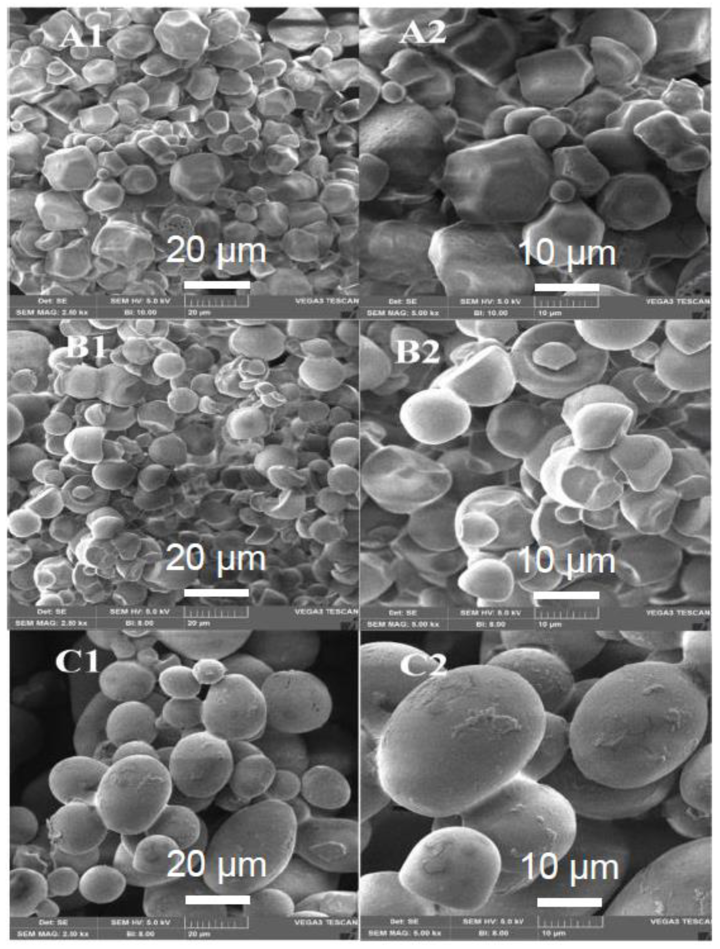 Processes 10 00587 g001