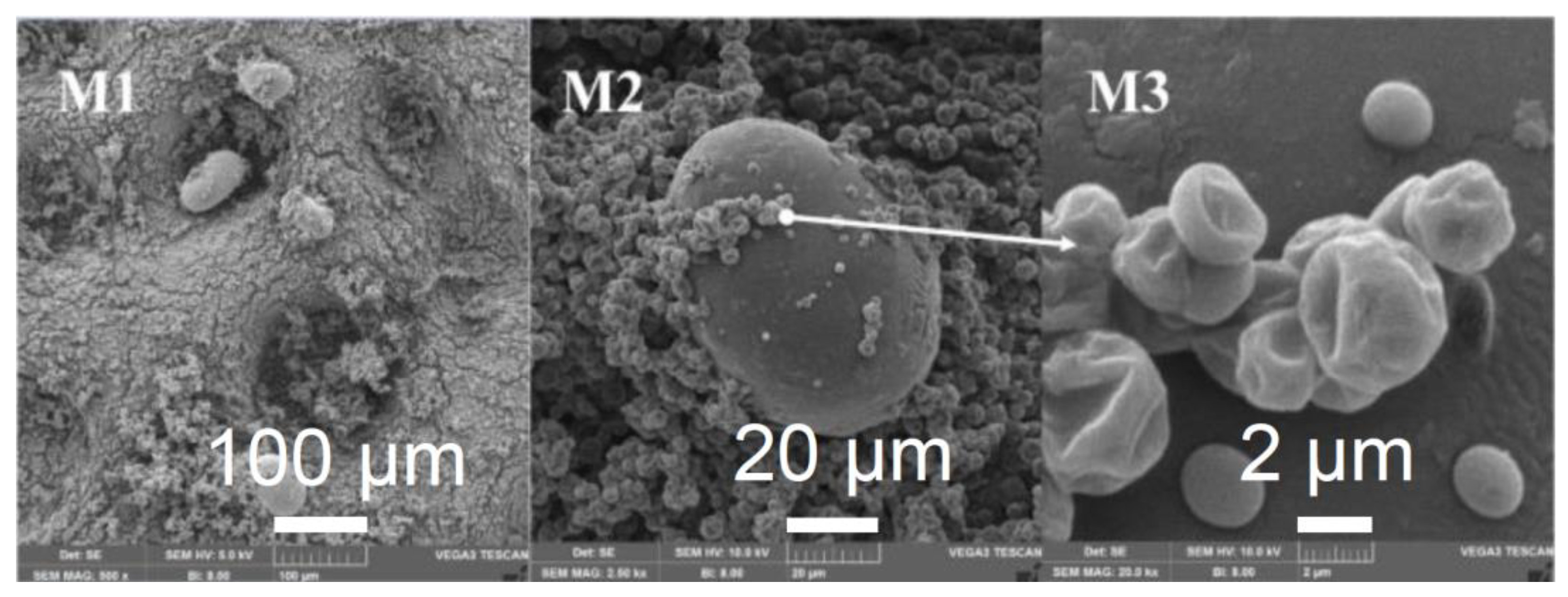 Processes 10 00587 g003