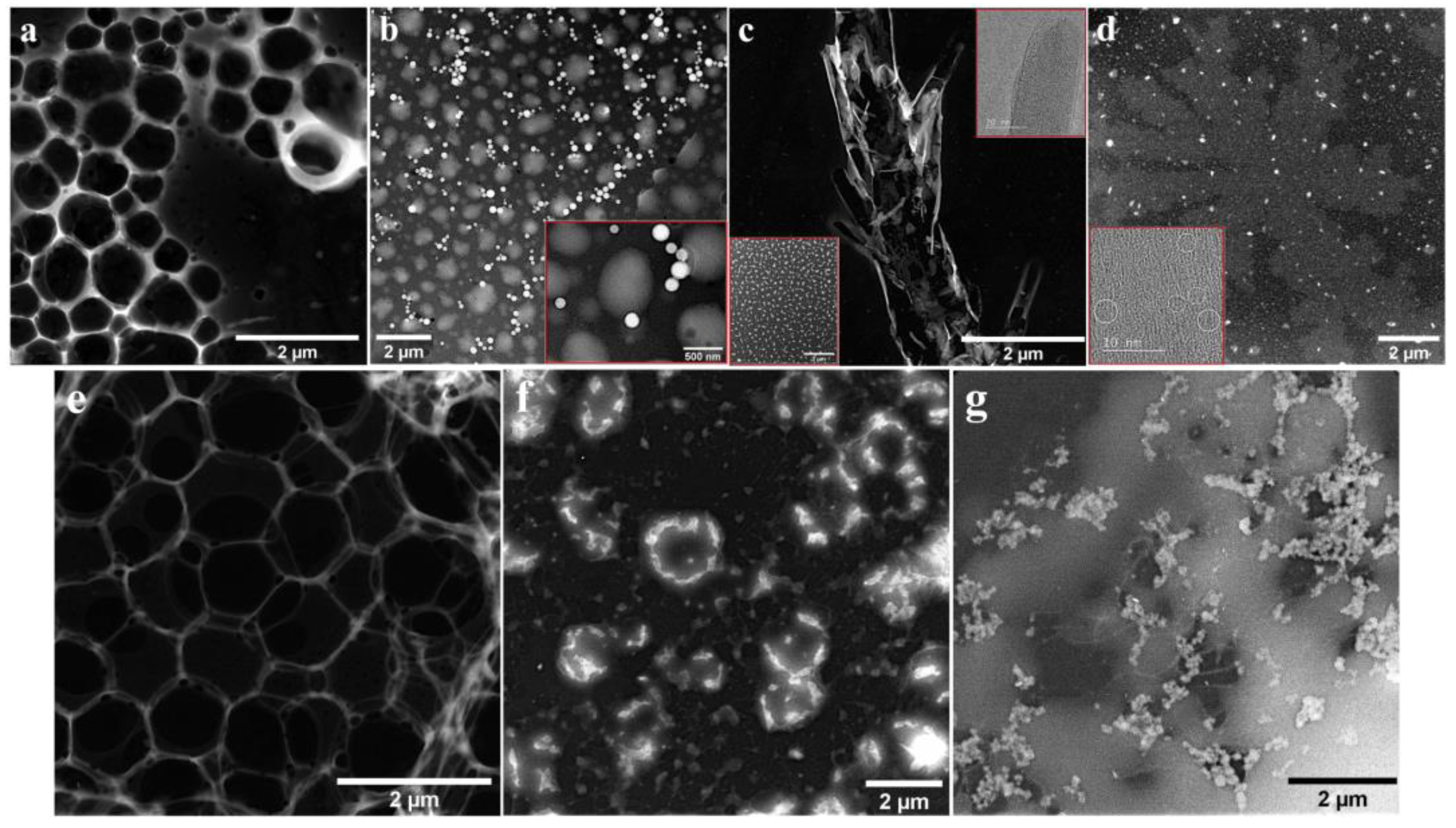 Processes 10 00611 g001