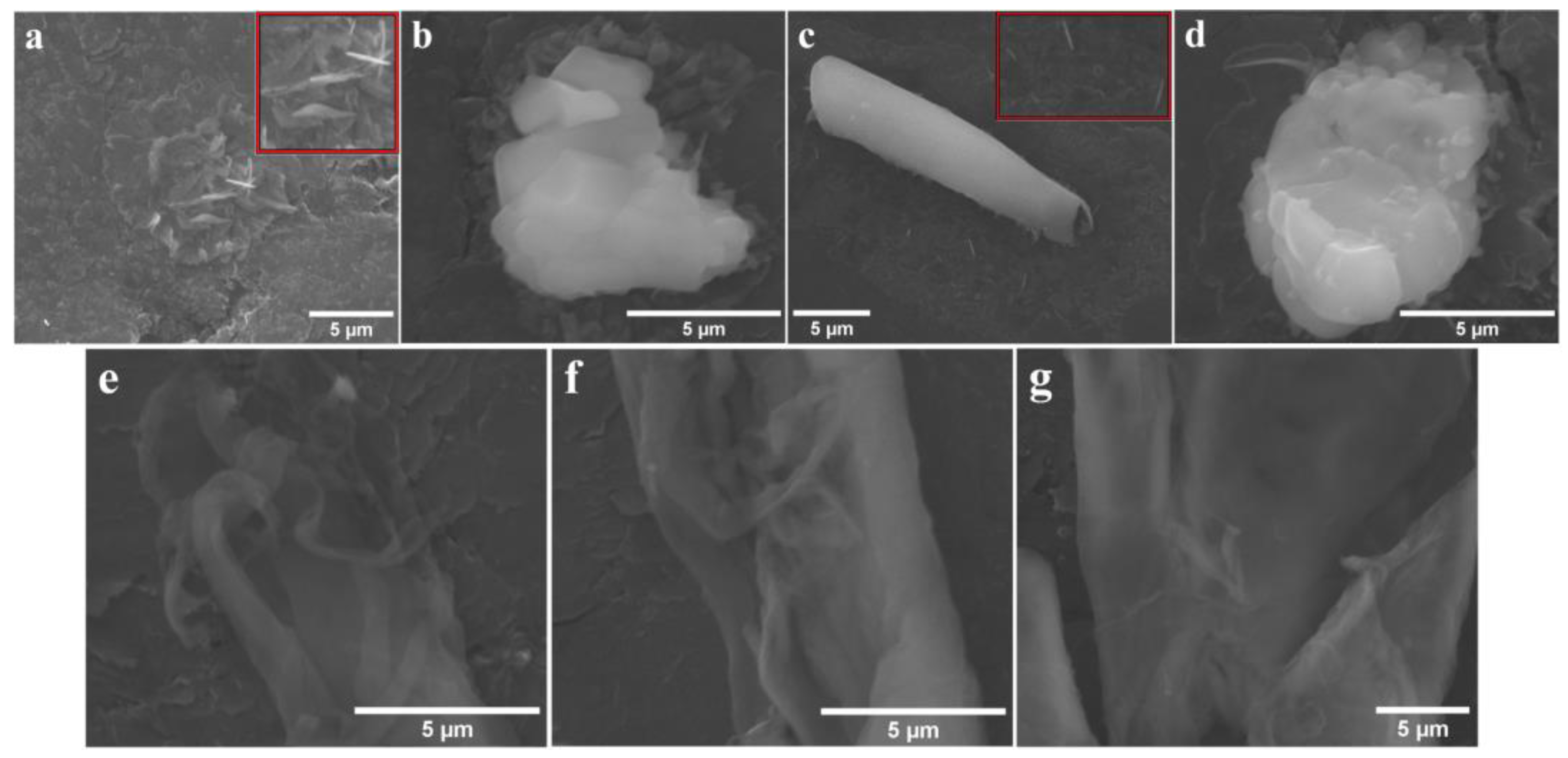 Processes 10 00611 g010