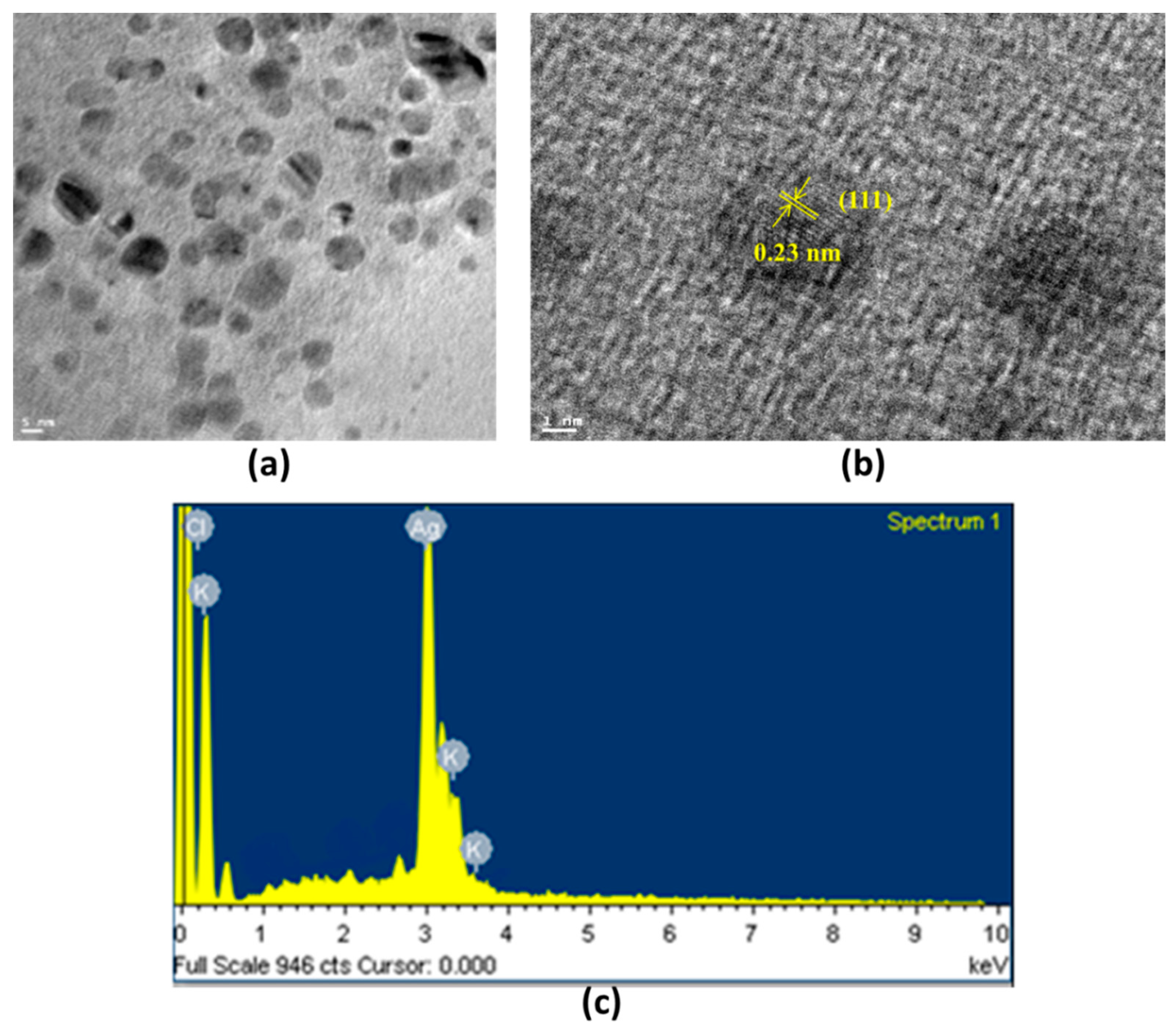 Processes 10 00623 g003