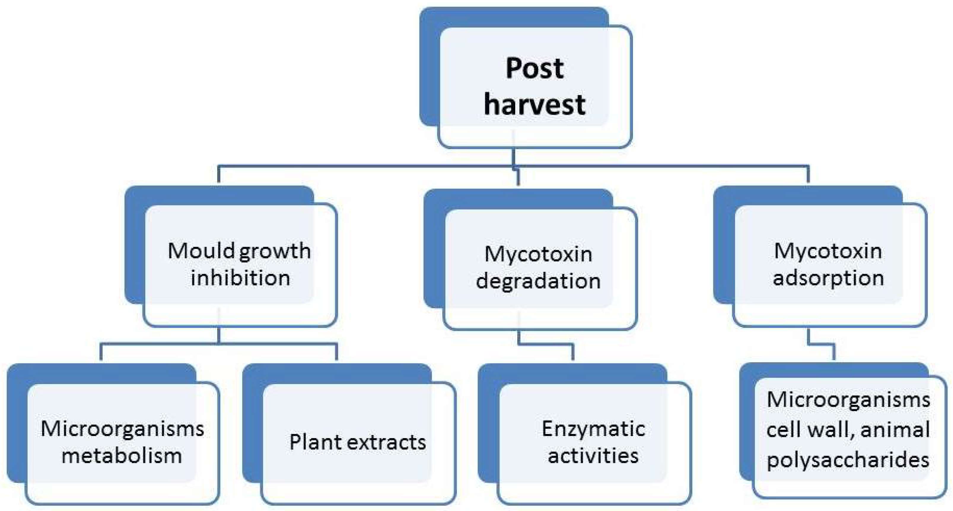 Processes 10 00655 sch001 Processes 10 00655 sch001