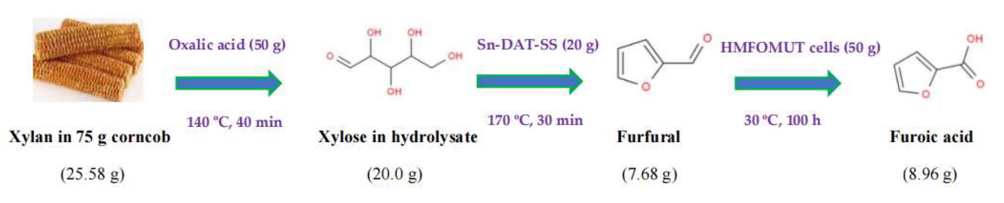 Processes 10 00677 g005
