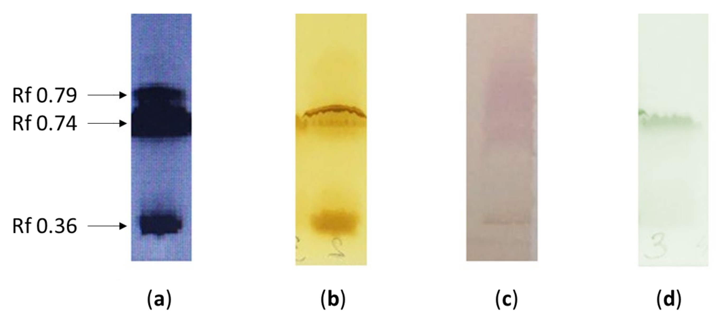 Processes 10 00779 g003