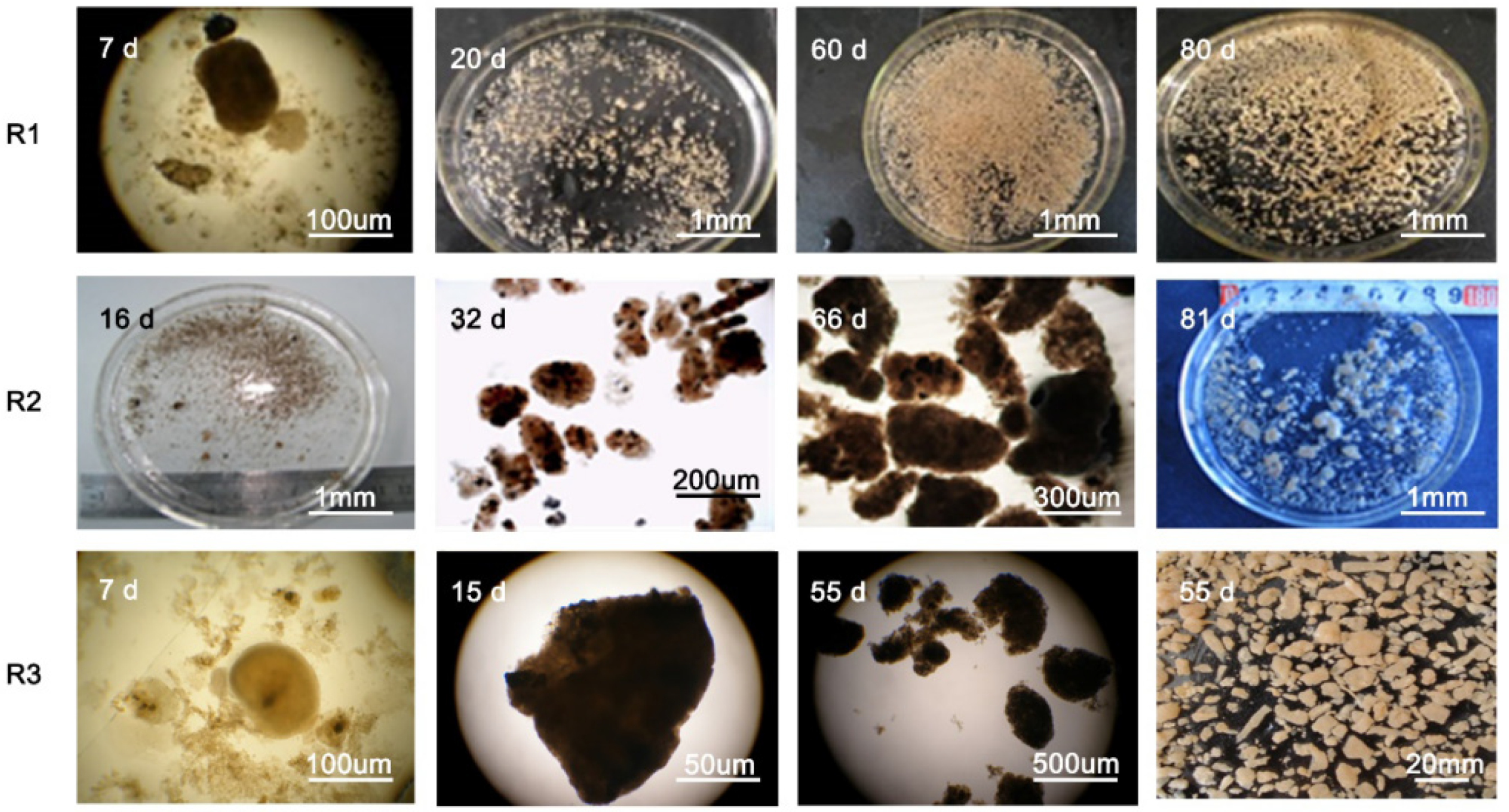 Processes 10 00792 g006