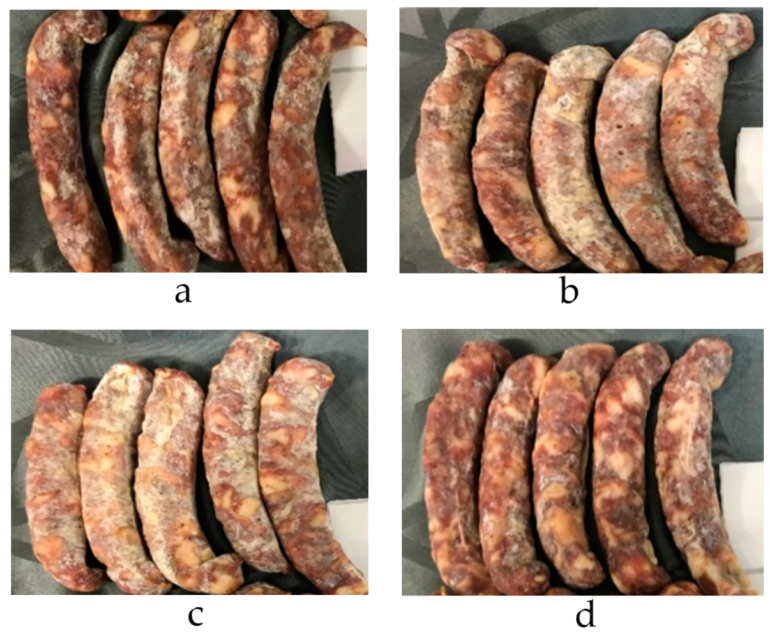 Processes 10 00821 g004