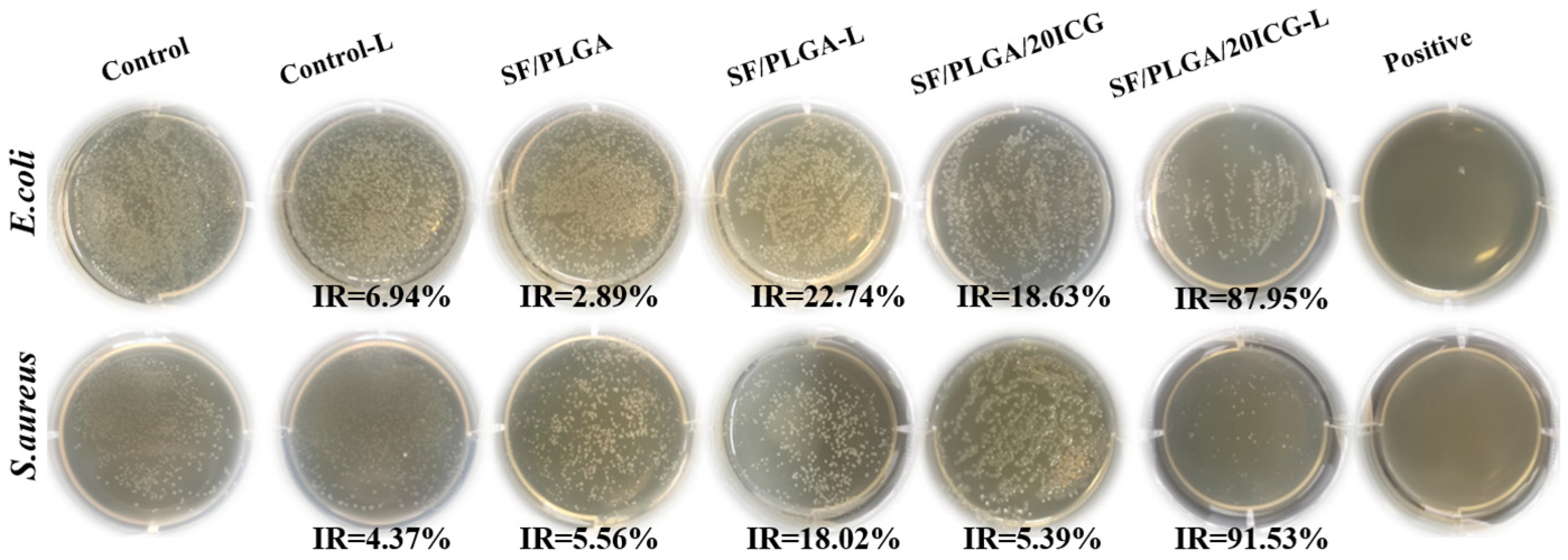 Processes 10 00850 g005 Processes 10 00850 g005