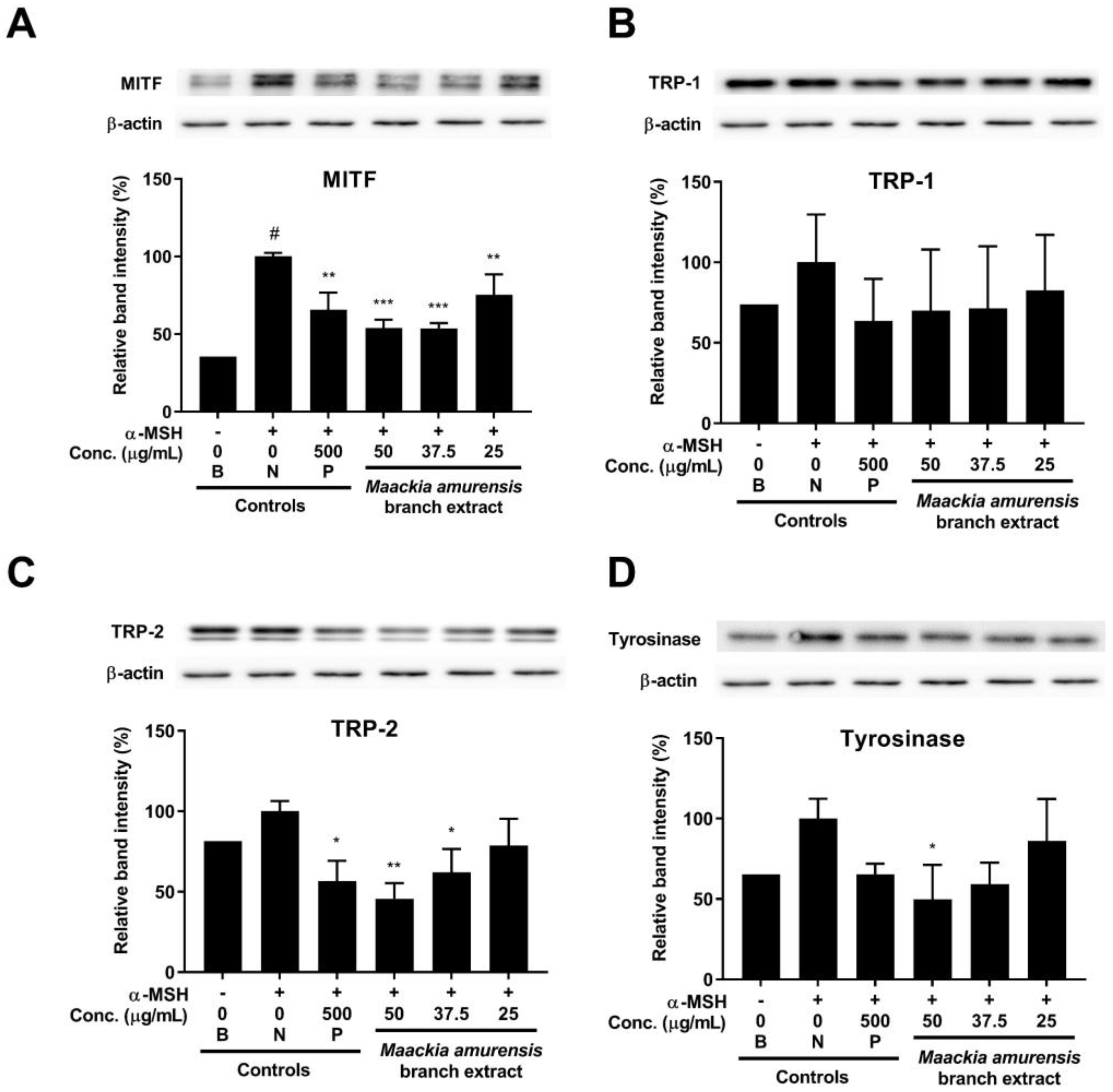 Processes 10 00855 g003