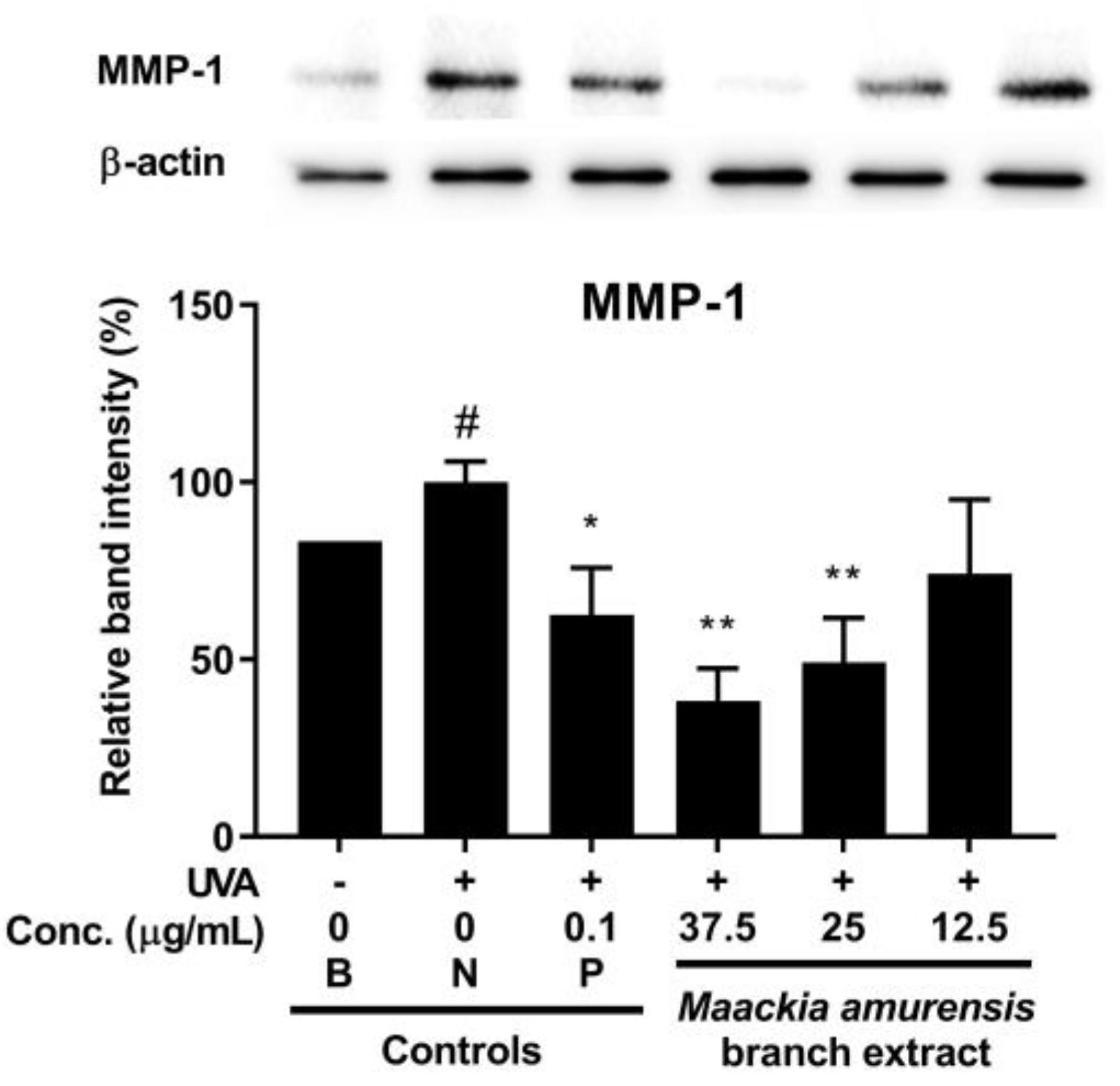 Processes 10 00855 g006