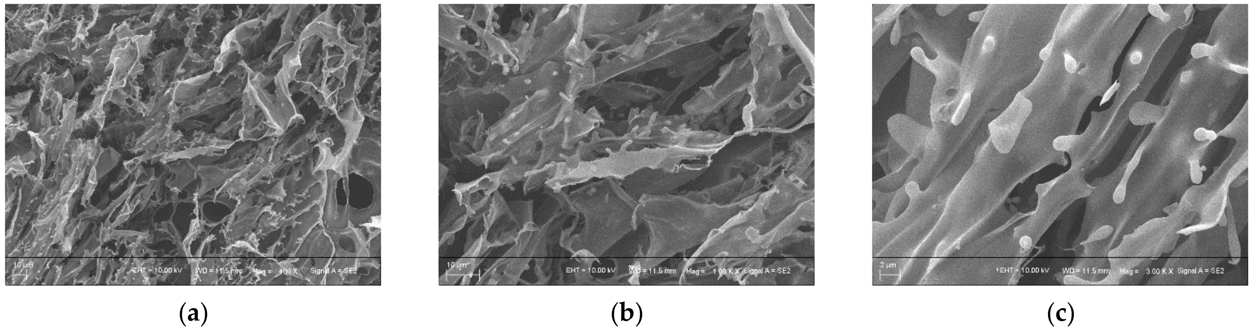 Processes 10 00891 g005