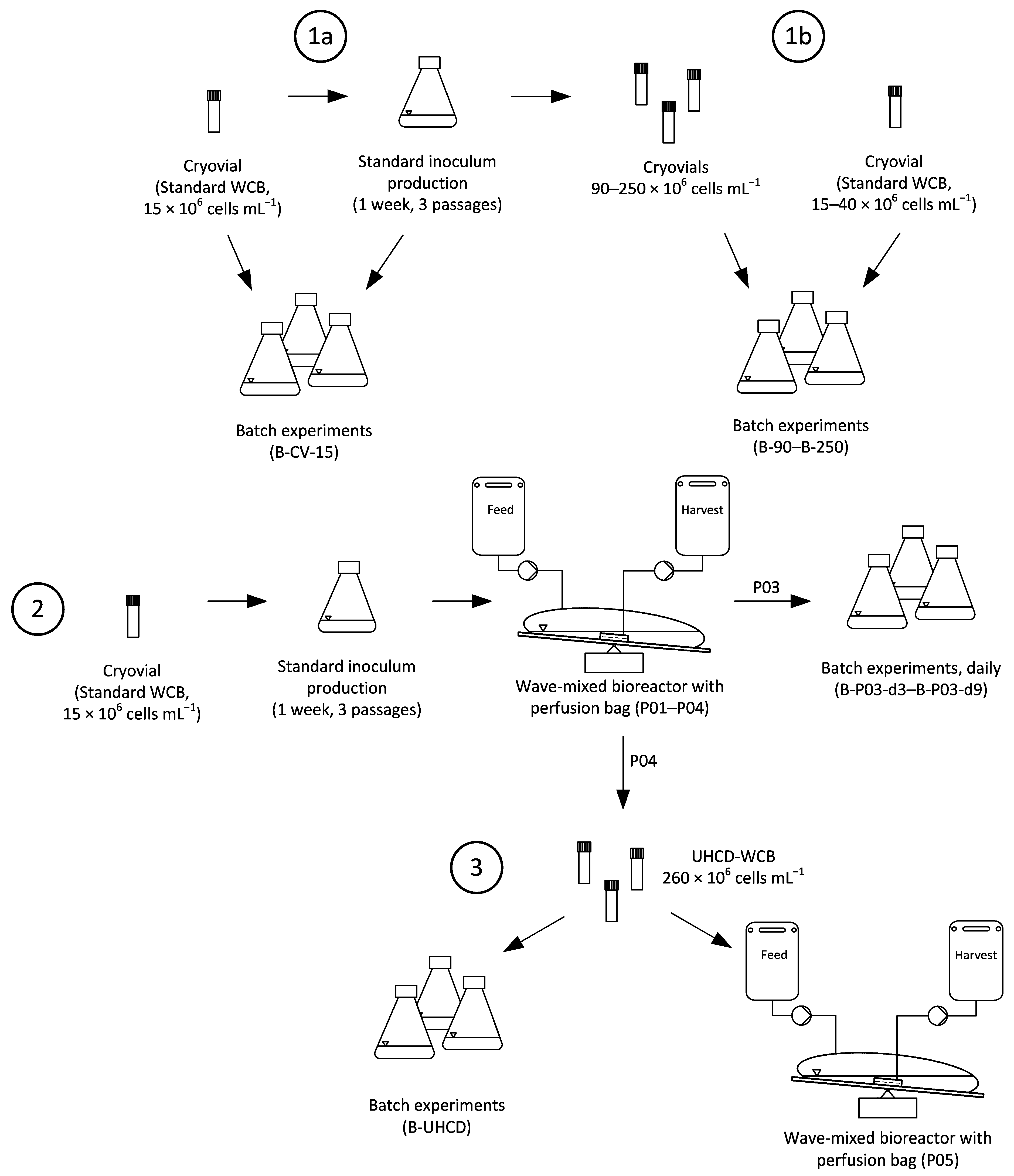 Processes 10 00911 g001