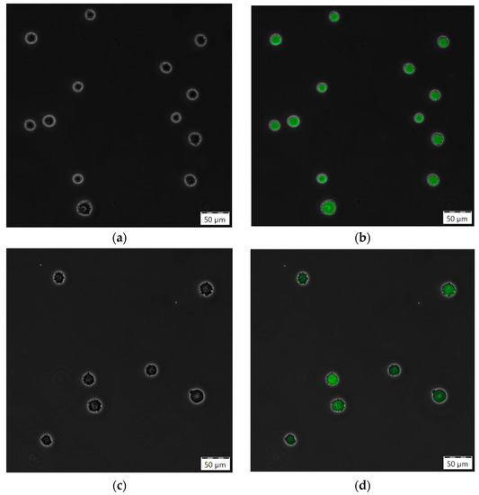 Processes 10 00911 g0a5a 550