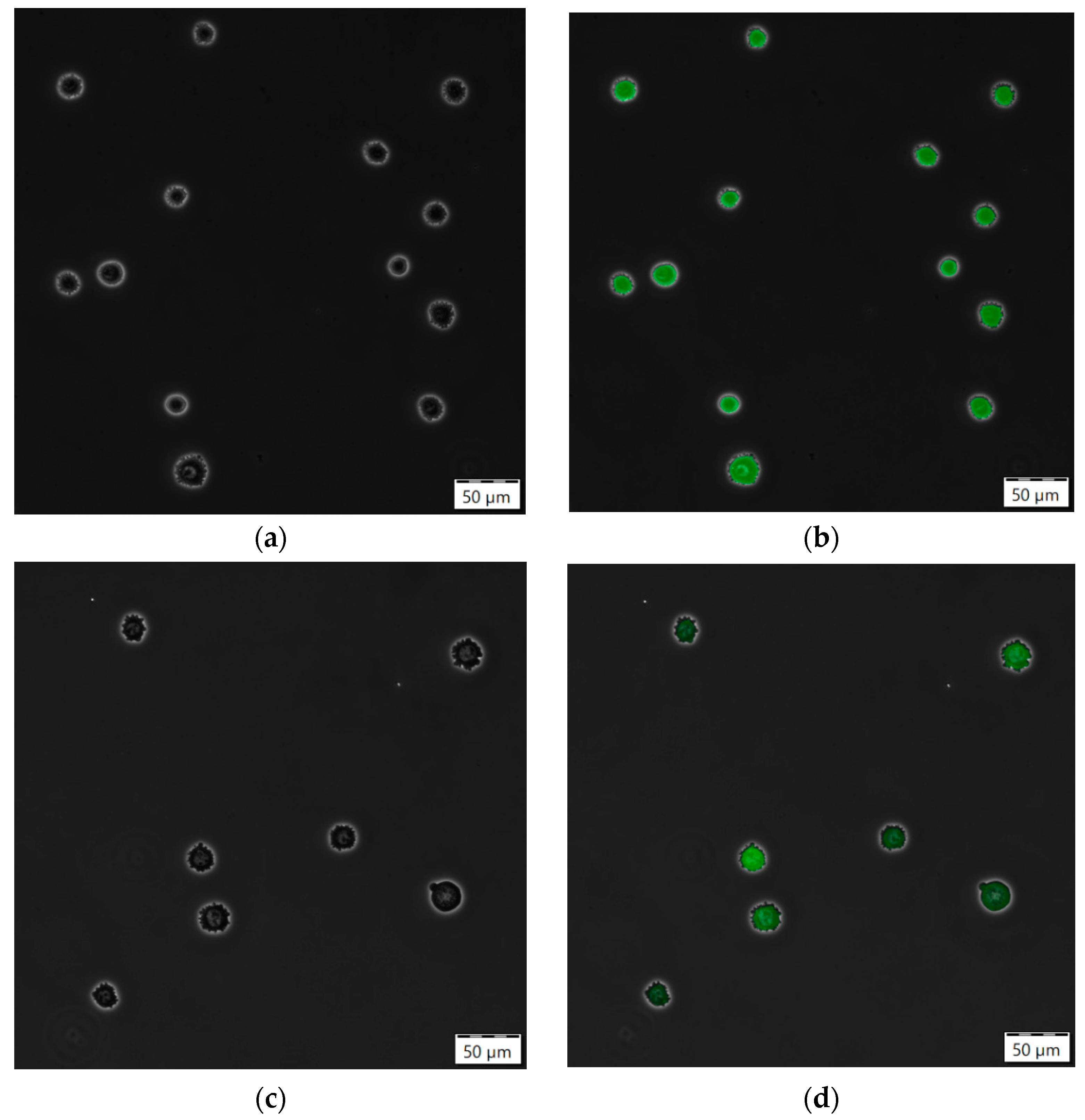 Processes 10 00911 g0a5a