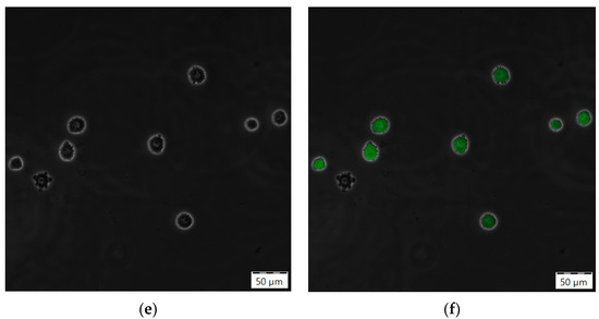 Processes 10 00911 g0a5b 550