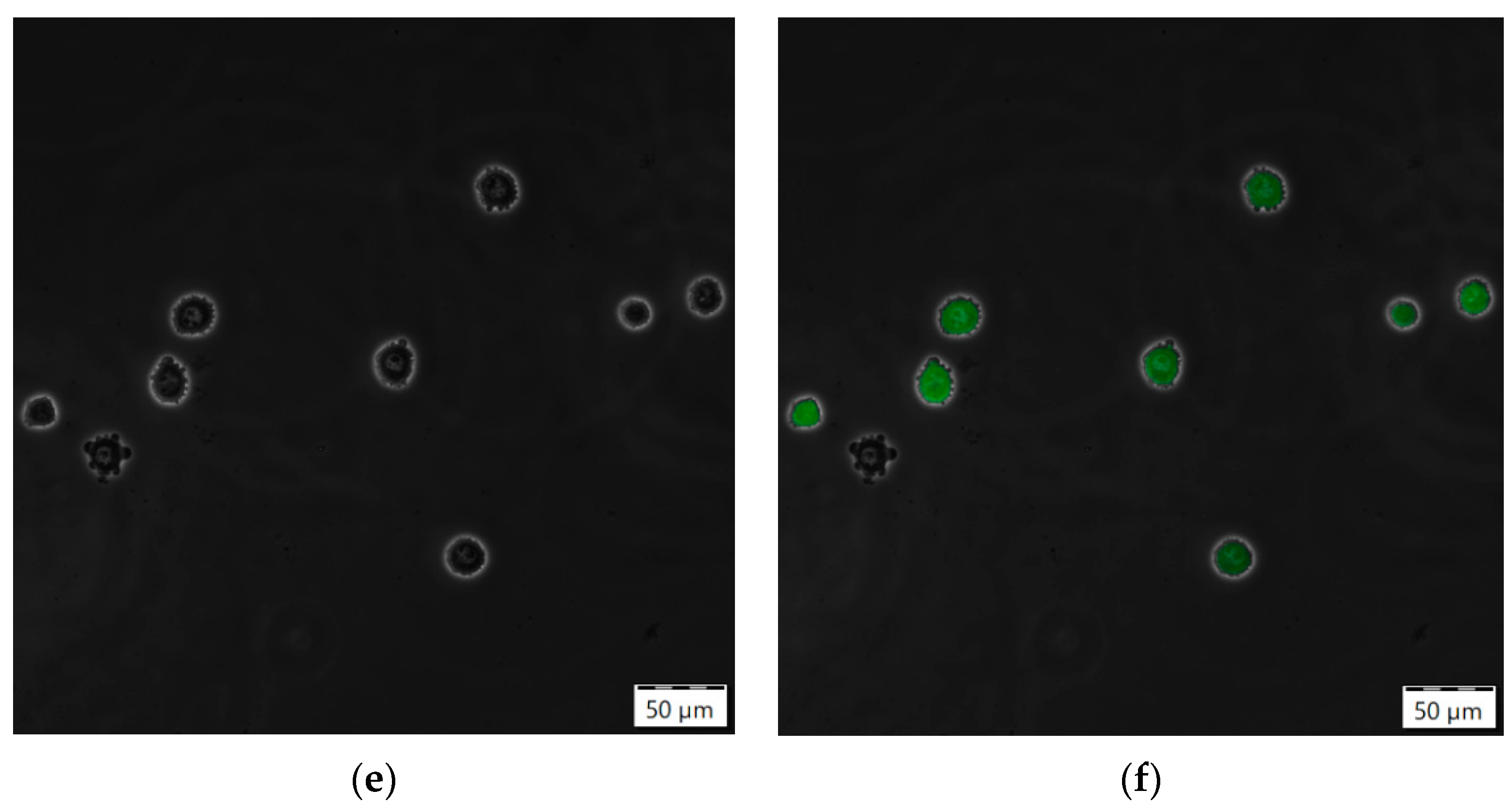 Processes 10 00911 g0a5b