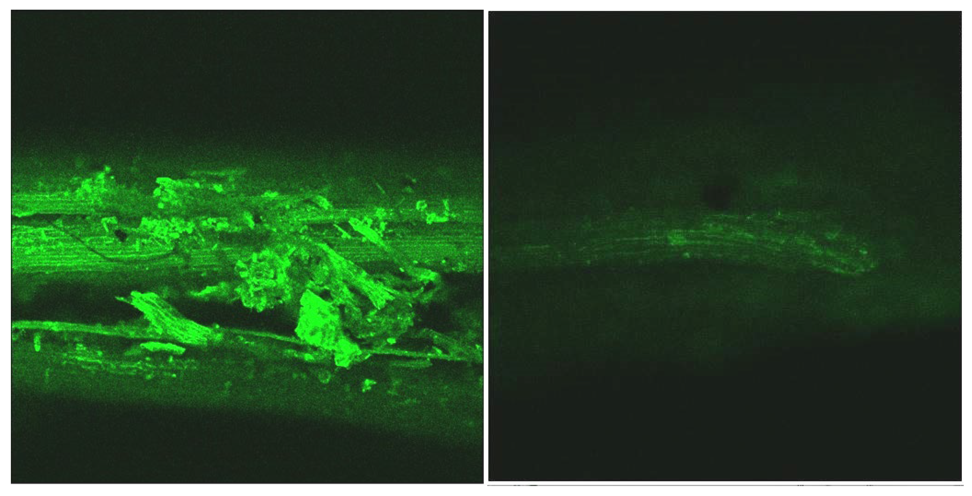 Processes 10 00943 g005