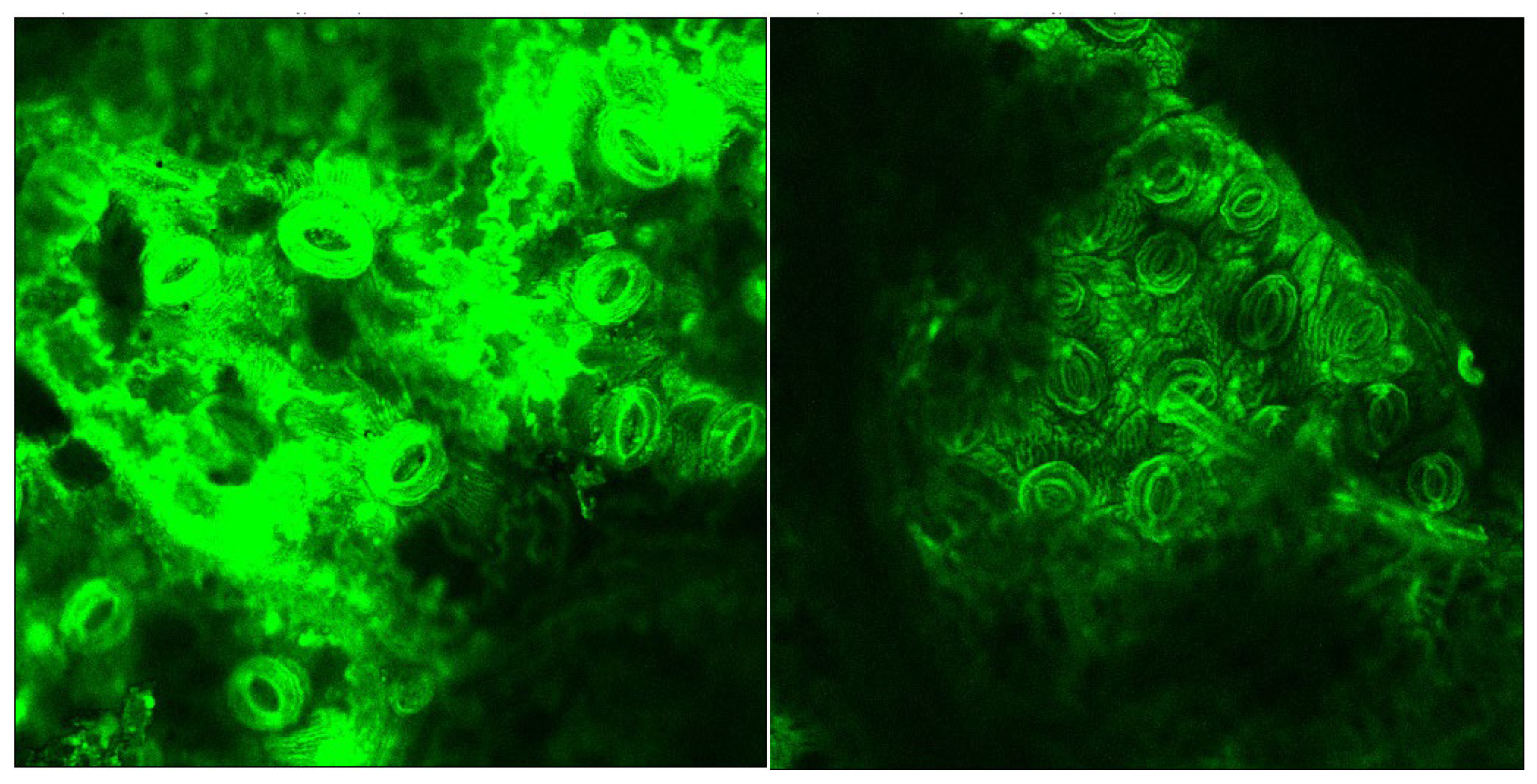 Processes 10 00943 g006