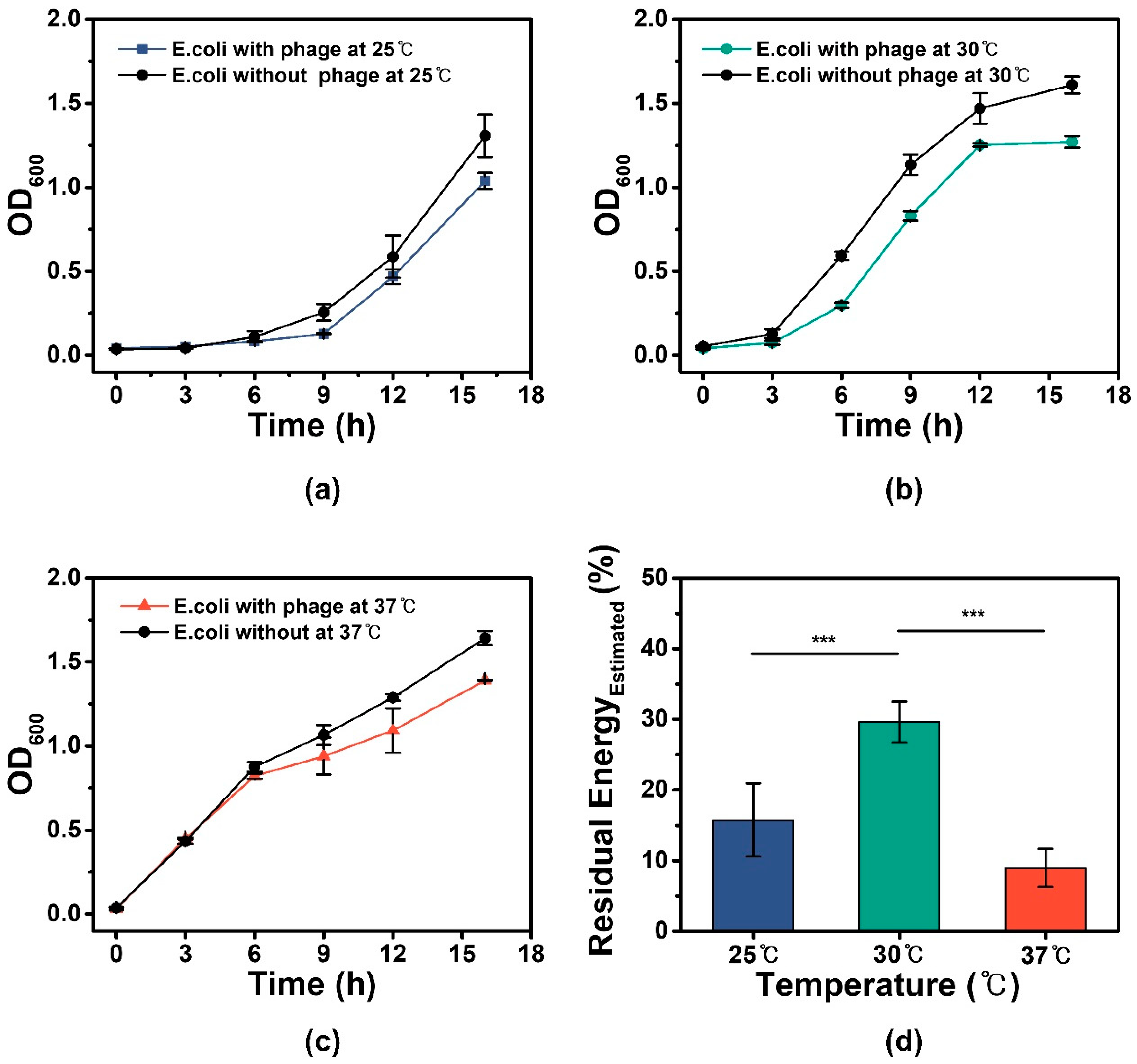 Processes 10 00962 g002
