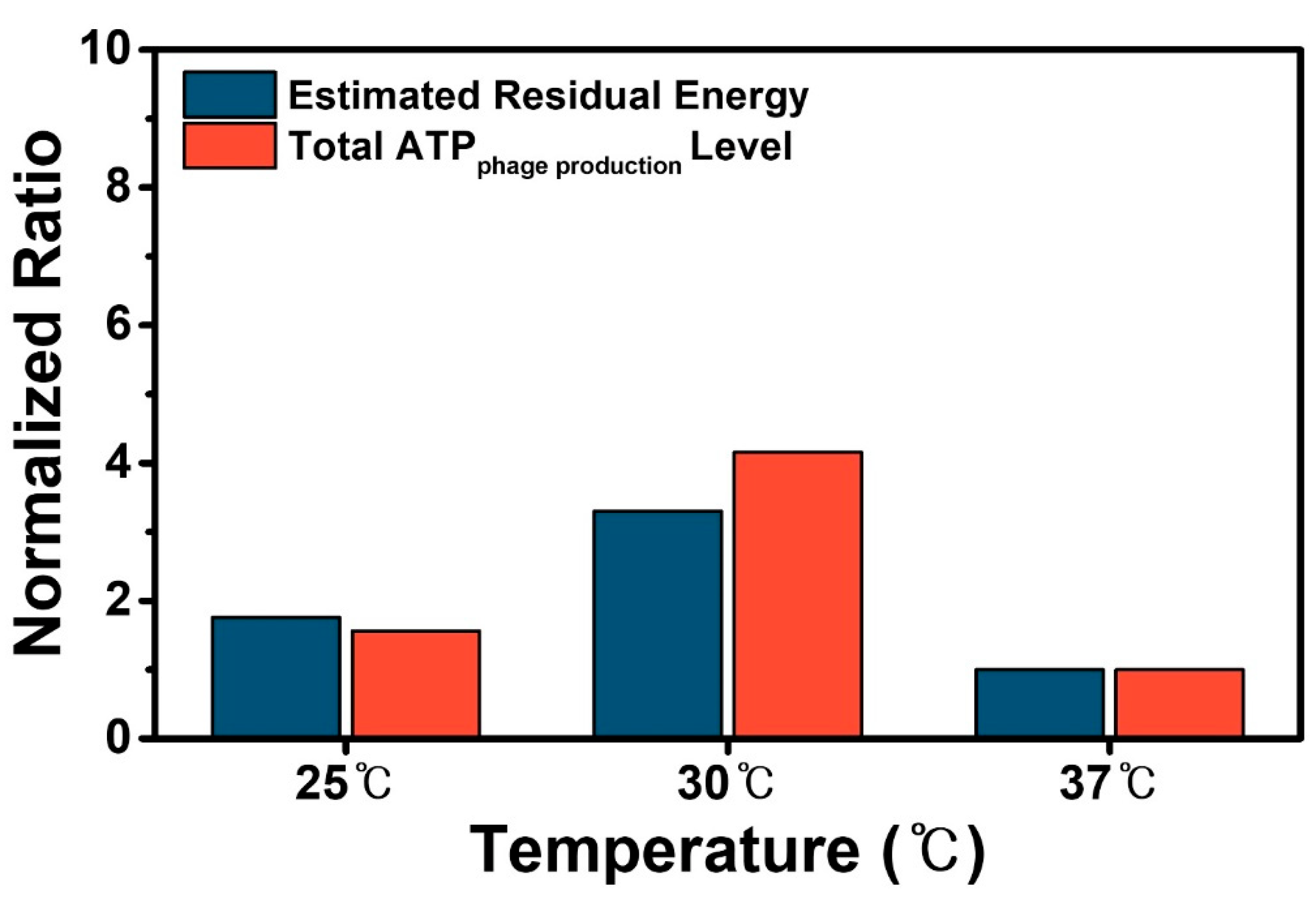 Processes 10 00962 g004