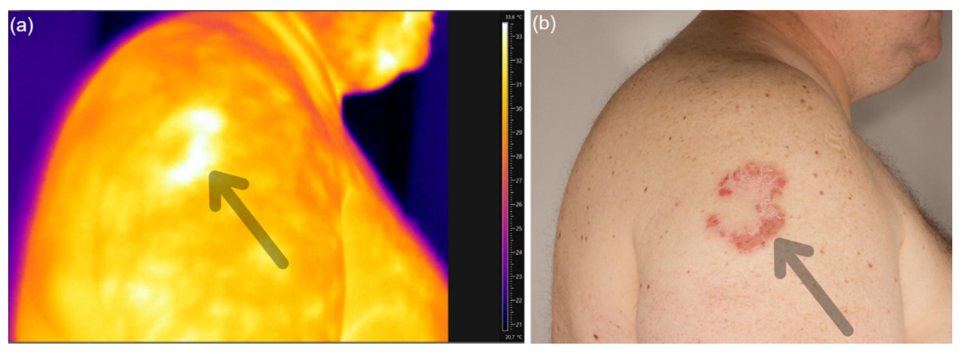 Processes 10 00985 g003