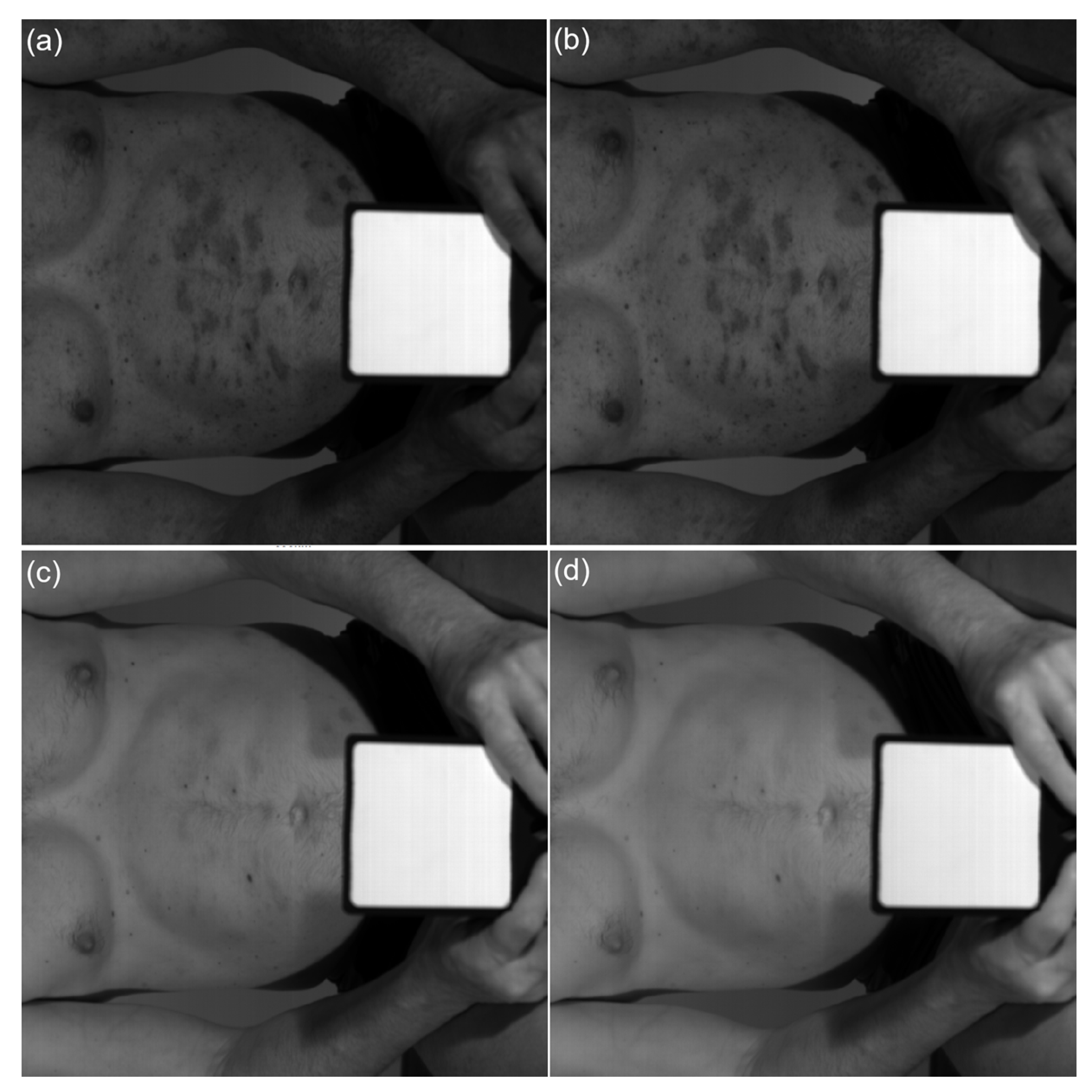 Processes 10 00985 g004