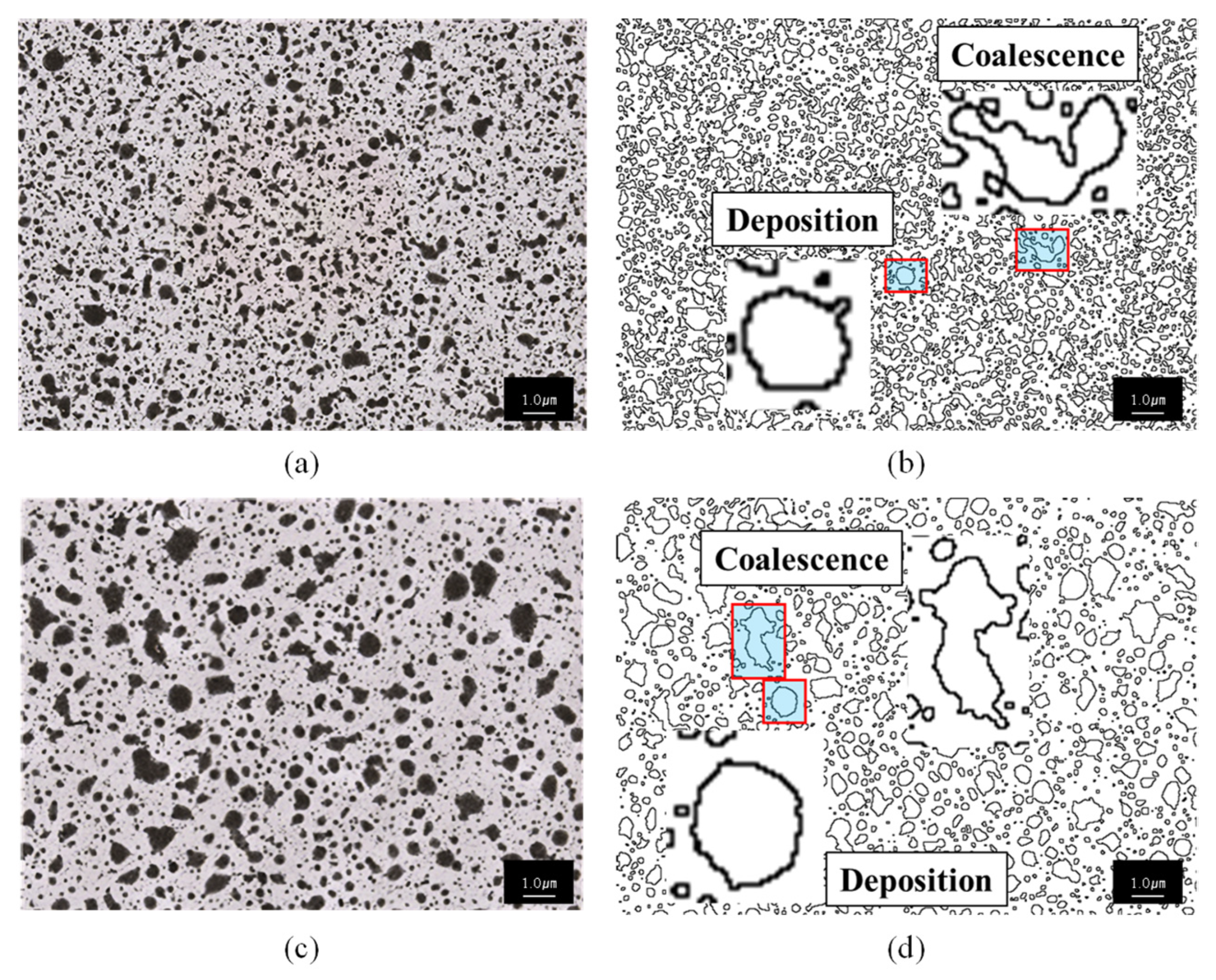 Processes 10 00999 g003