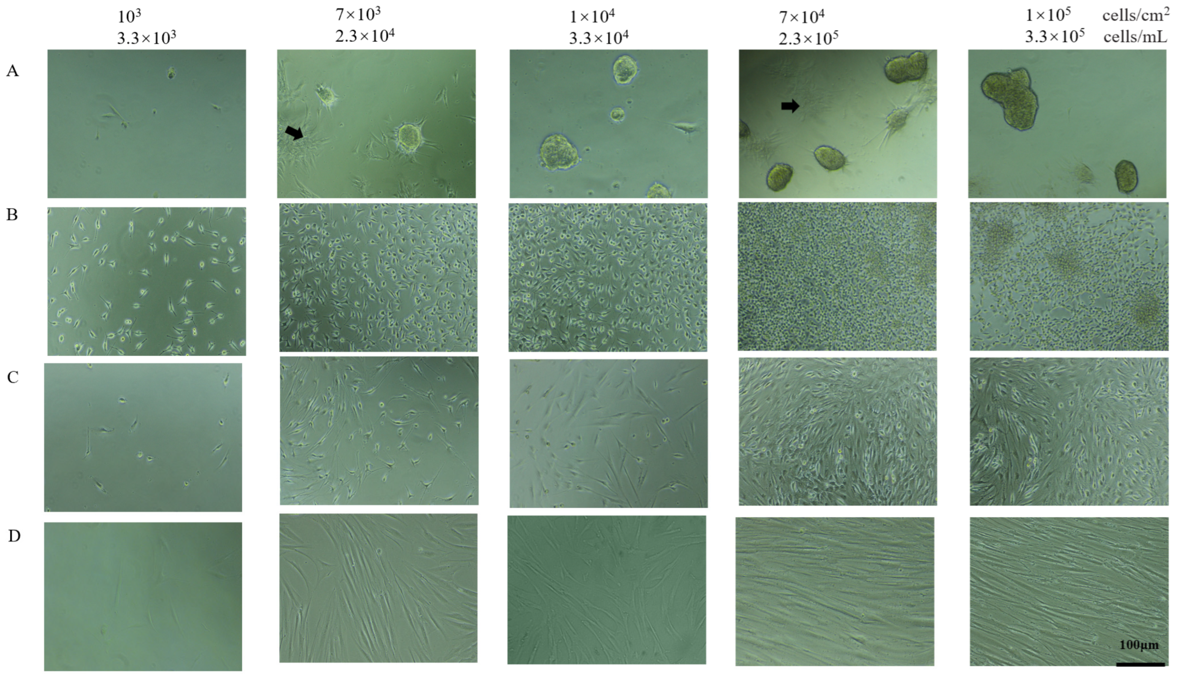 Processes 10 01021 g001