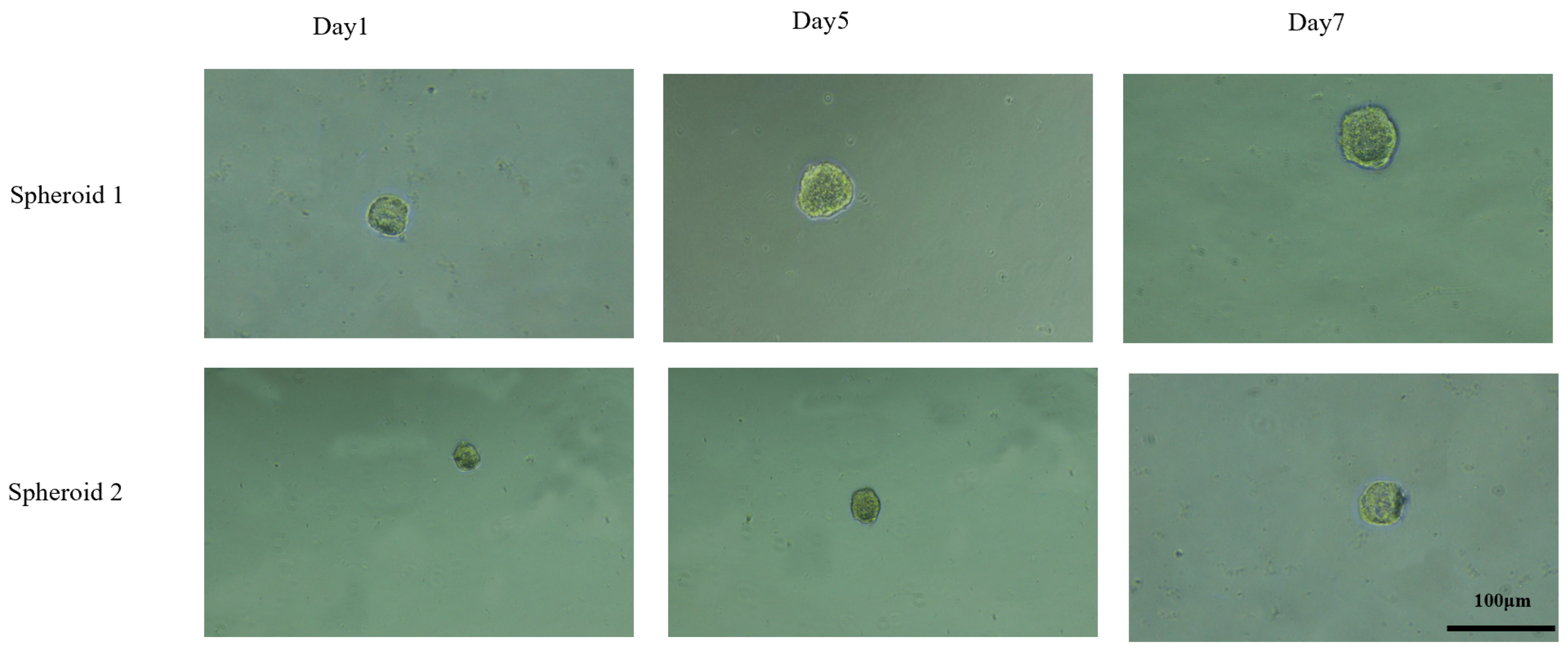 Processes 10 01021 g002