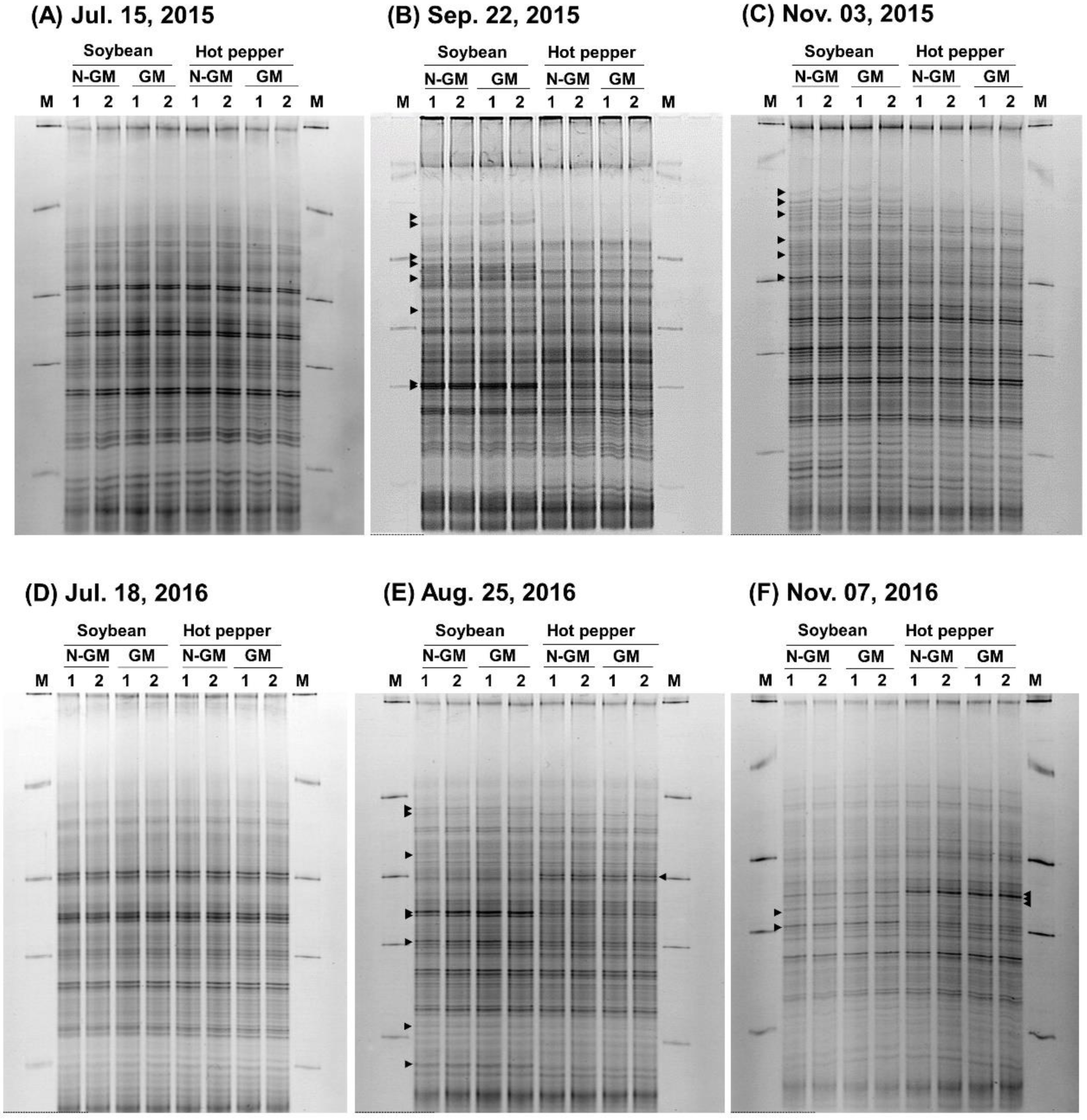 Processes 10 01037 g005