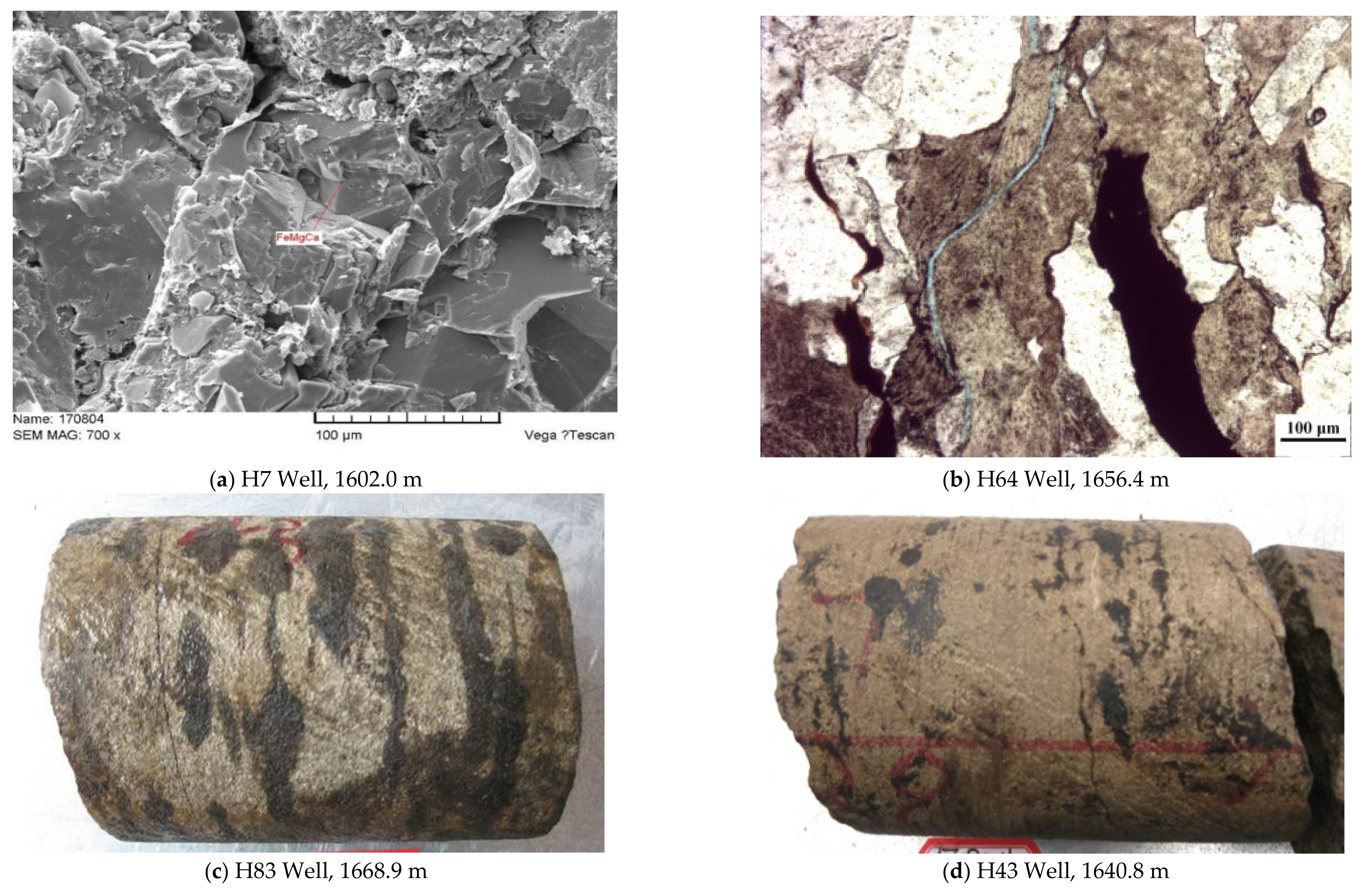 Processes 10 01040 g005