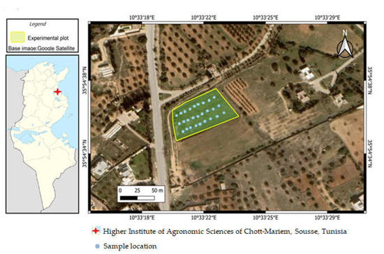 Processes 10 01109 g001 550