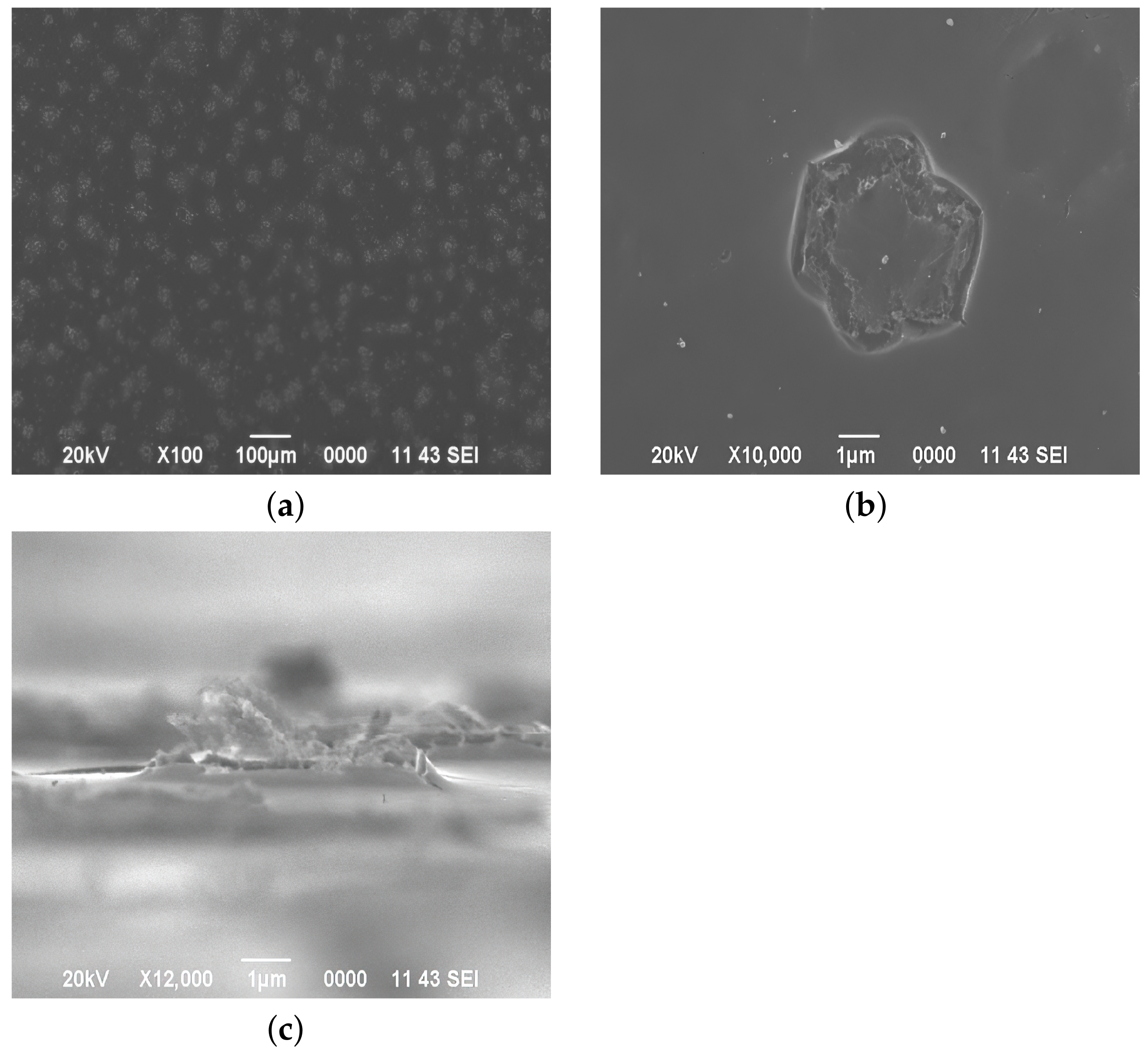 Processes 10 01116 g002