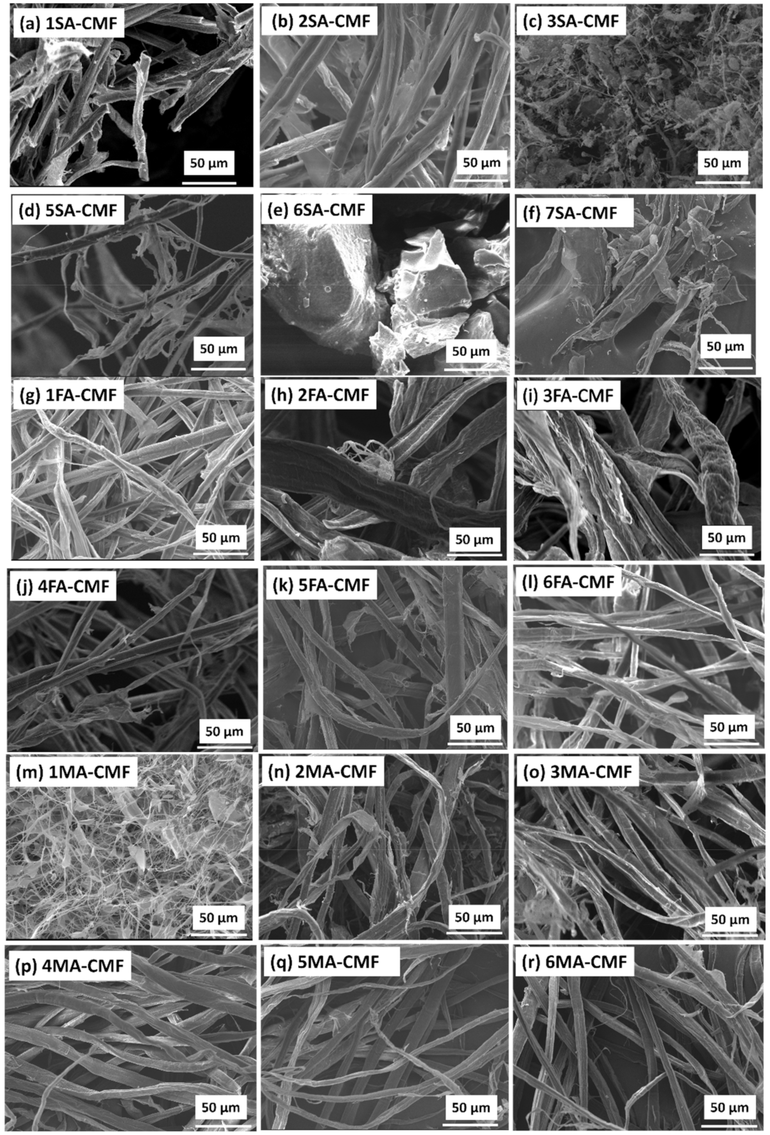 Processes 10 01150 g003